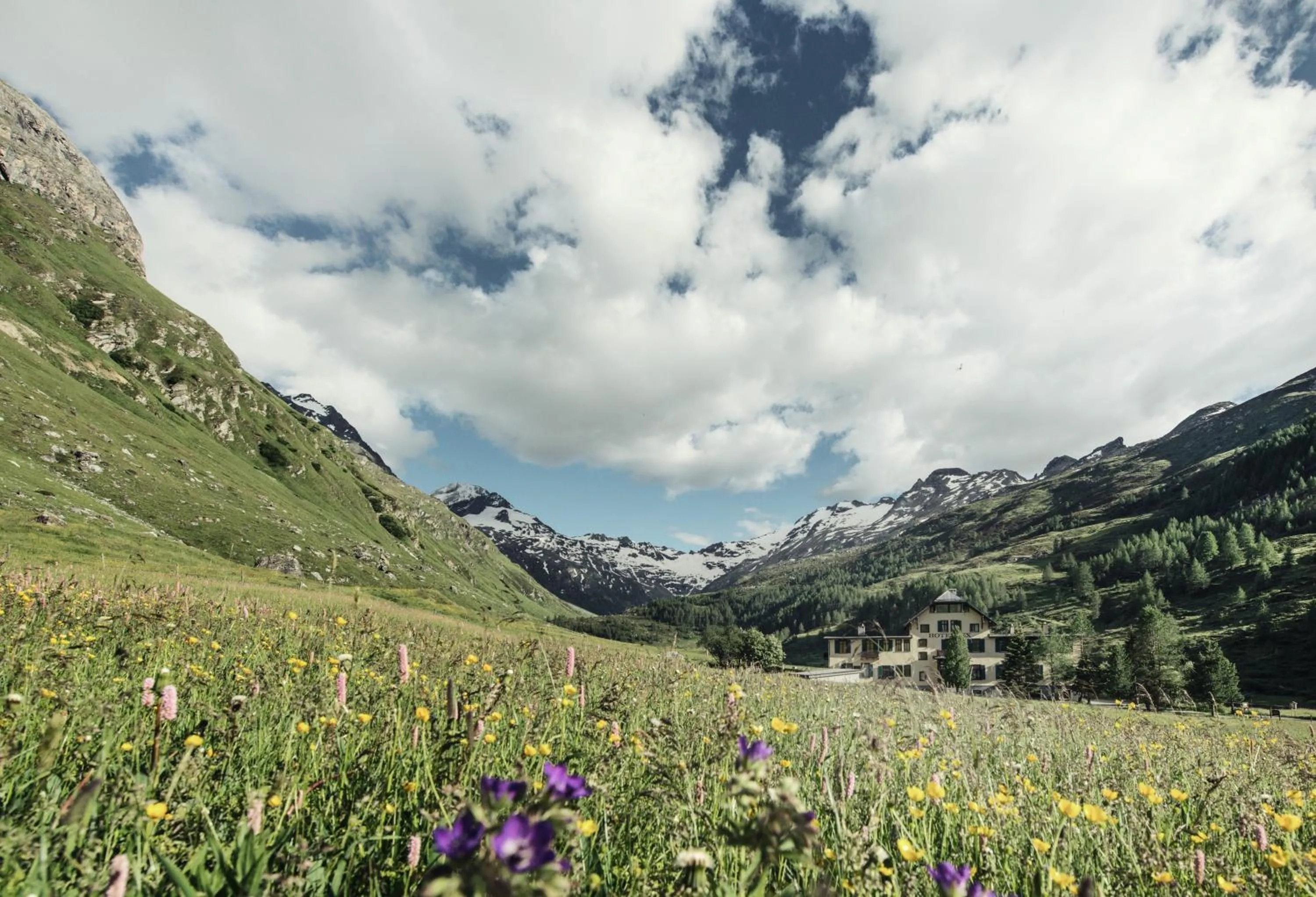 Natural landscape in Hotel Fex