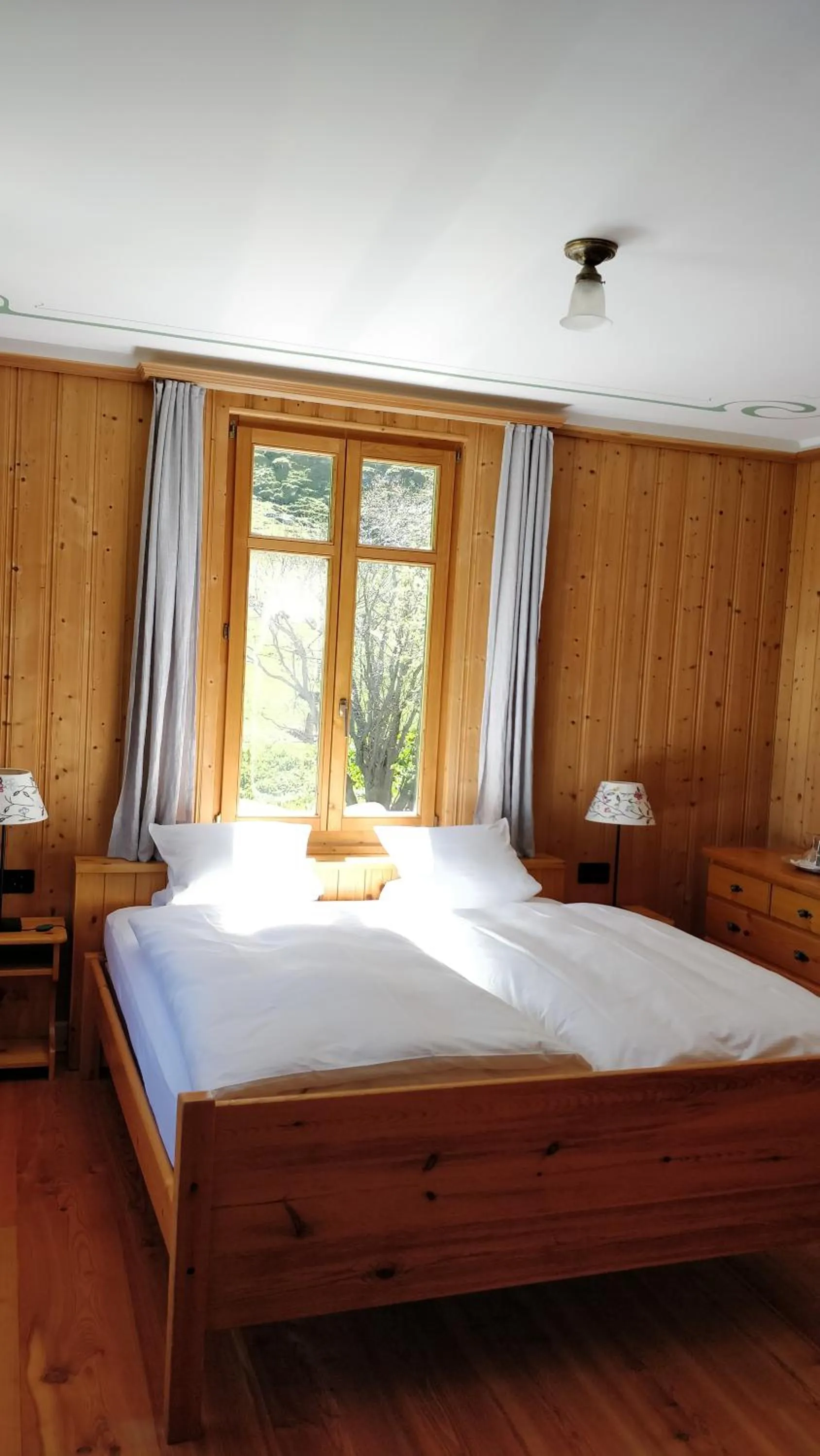 Mountain view, Bed in Hotel Fex