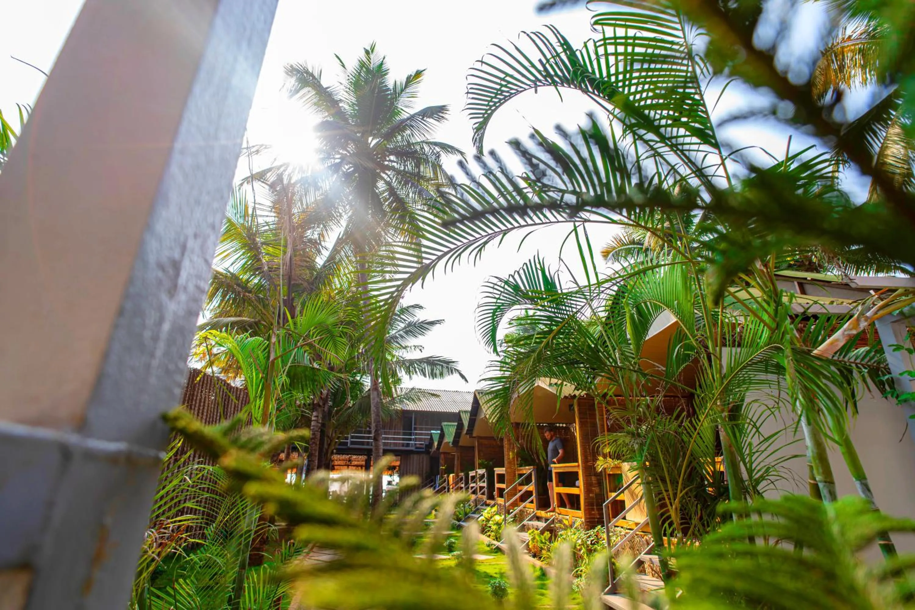 Garden in Agonda Serenity Resort