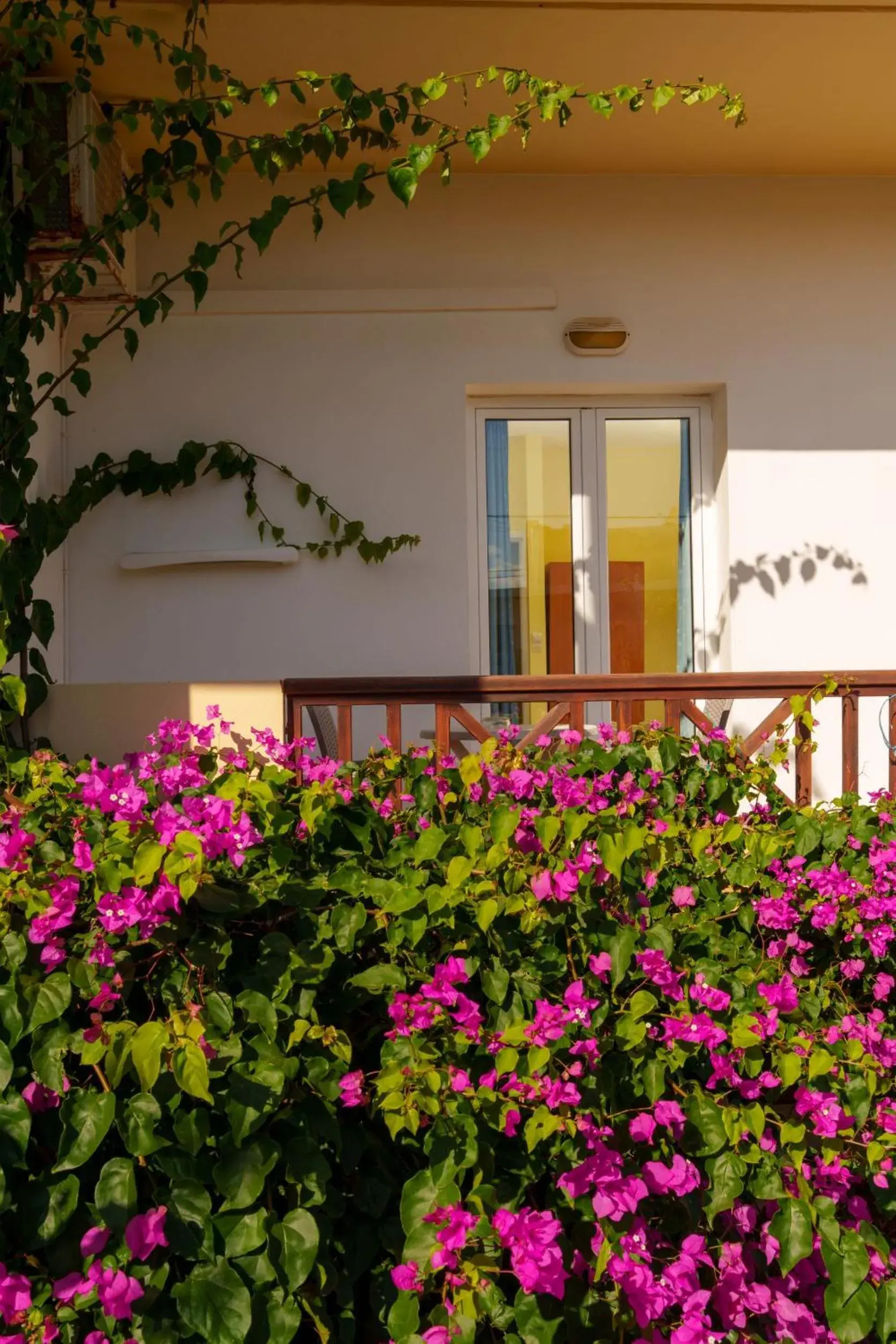 Double or Twin Room with Partial Sea View in Dedalos Beach Hotel Double or Twin Room with Partial Sea View in Dedalos Beach Hotel