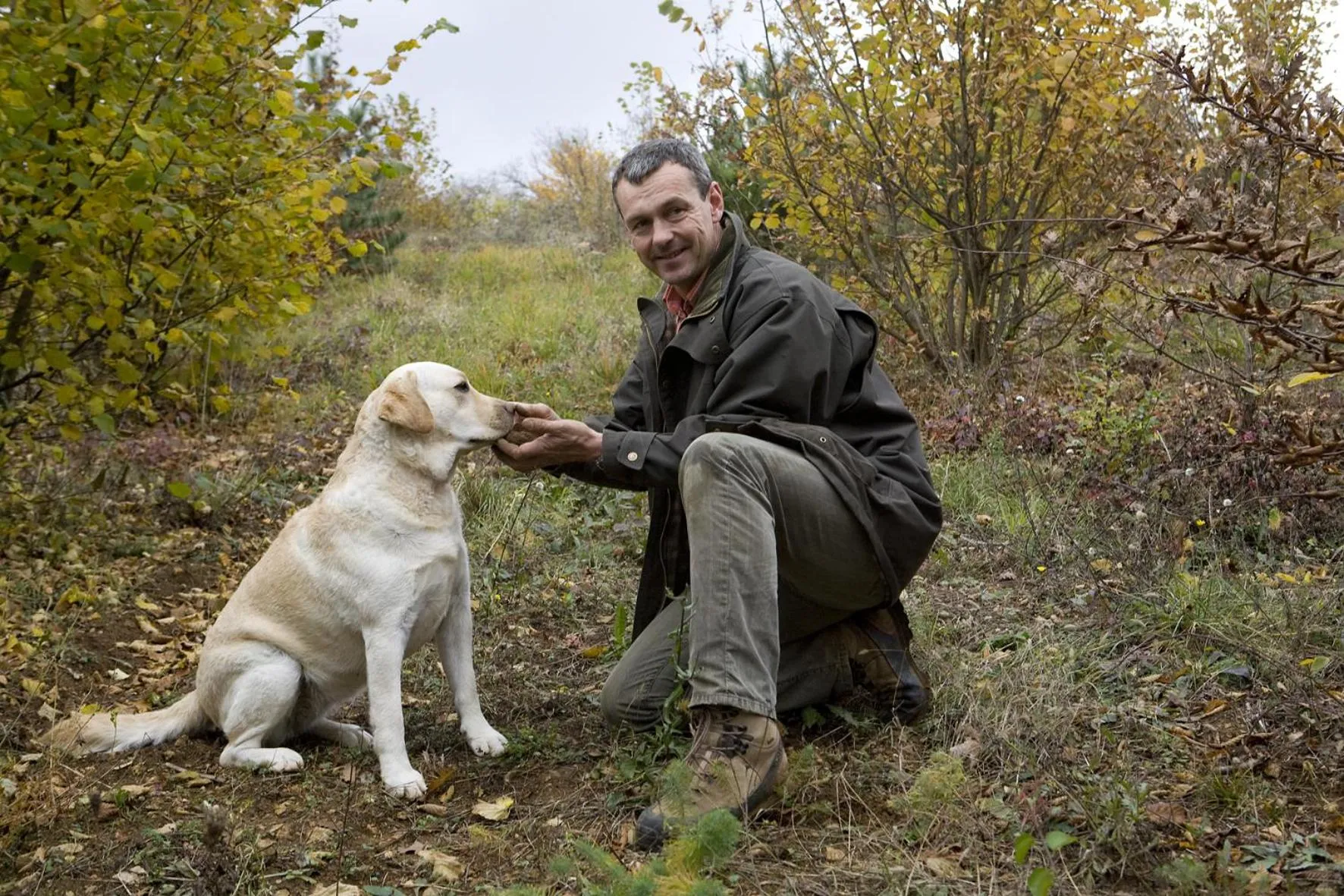 Domaine De La Combotte
