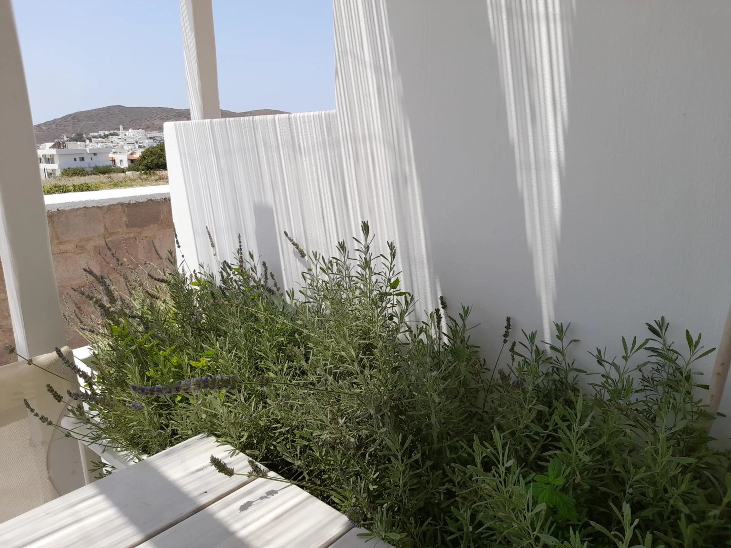 Garden in Hotel Ippocampos Studios