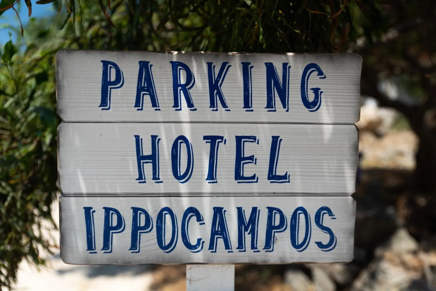 Hotel Ippocampos Studios