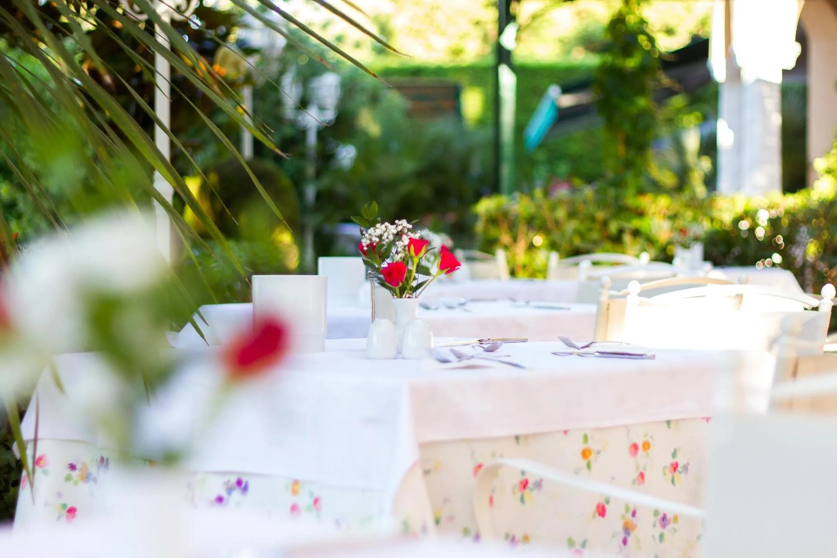 Restaurant/places to eat in Hotel Marko