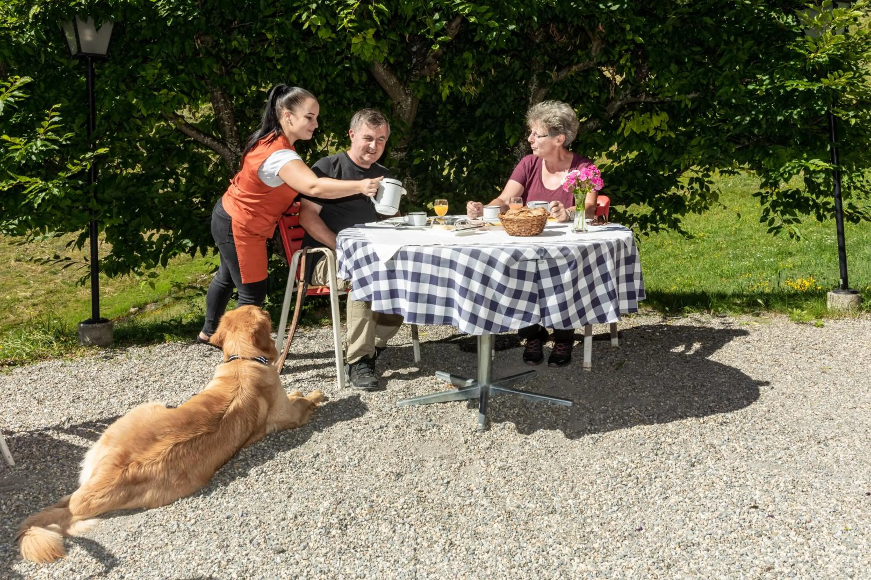 Pets in Hotel Gravas Lodge - Das Hotel für Gäste mit Hund