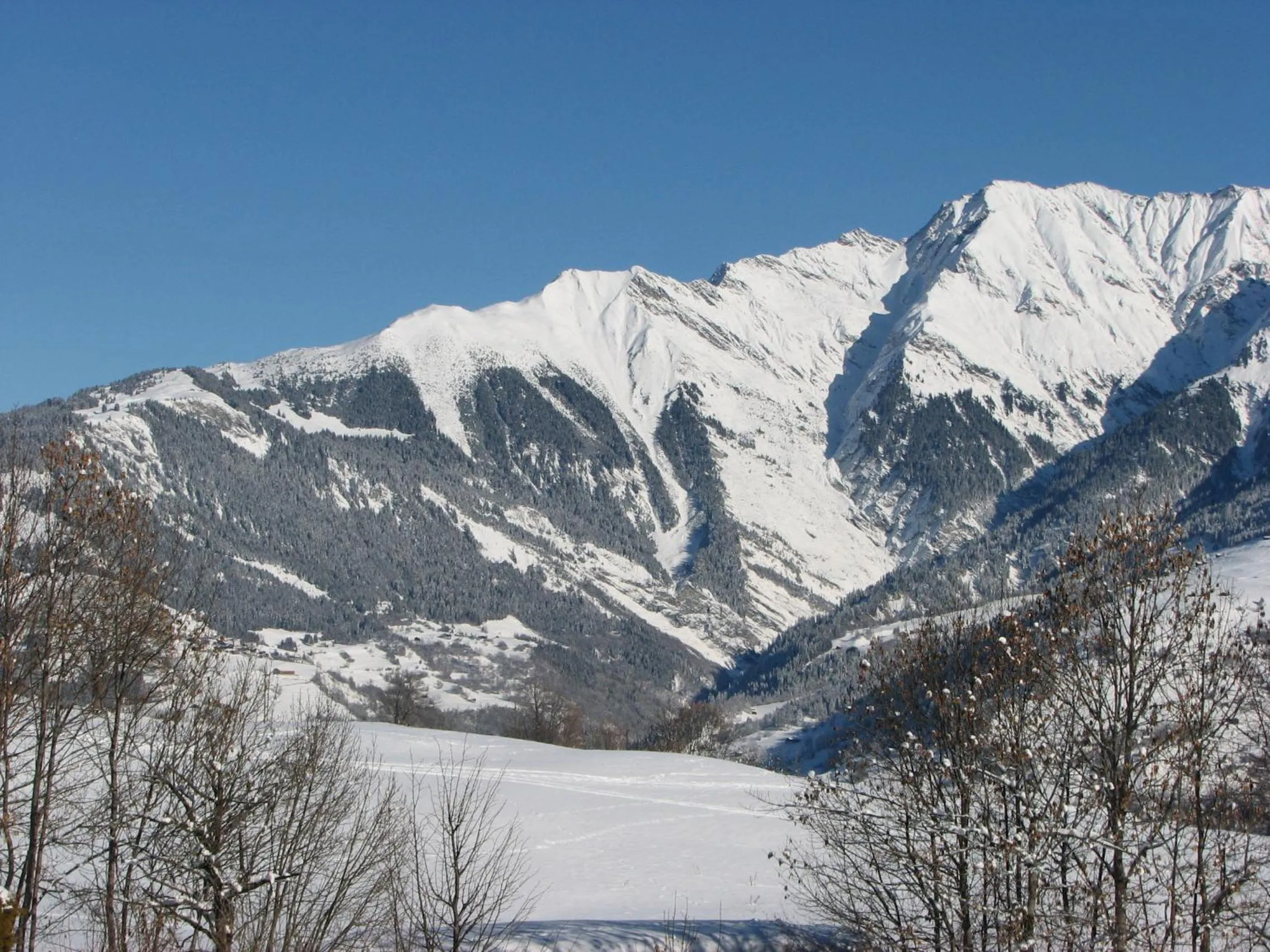 Natural landscape in Hotel Gravas Lodge - Das Hotel für Gäste mit Hund