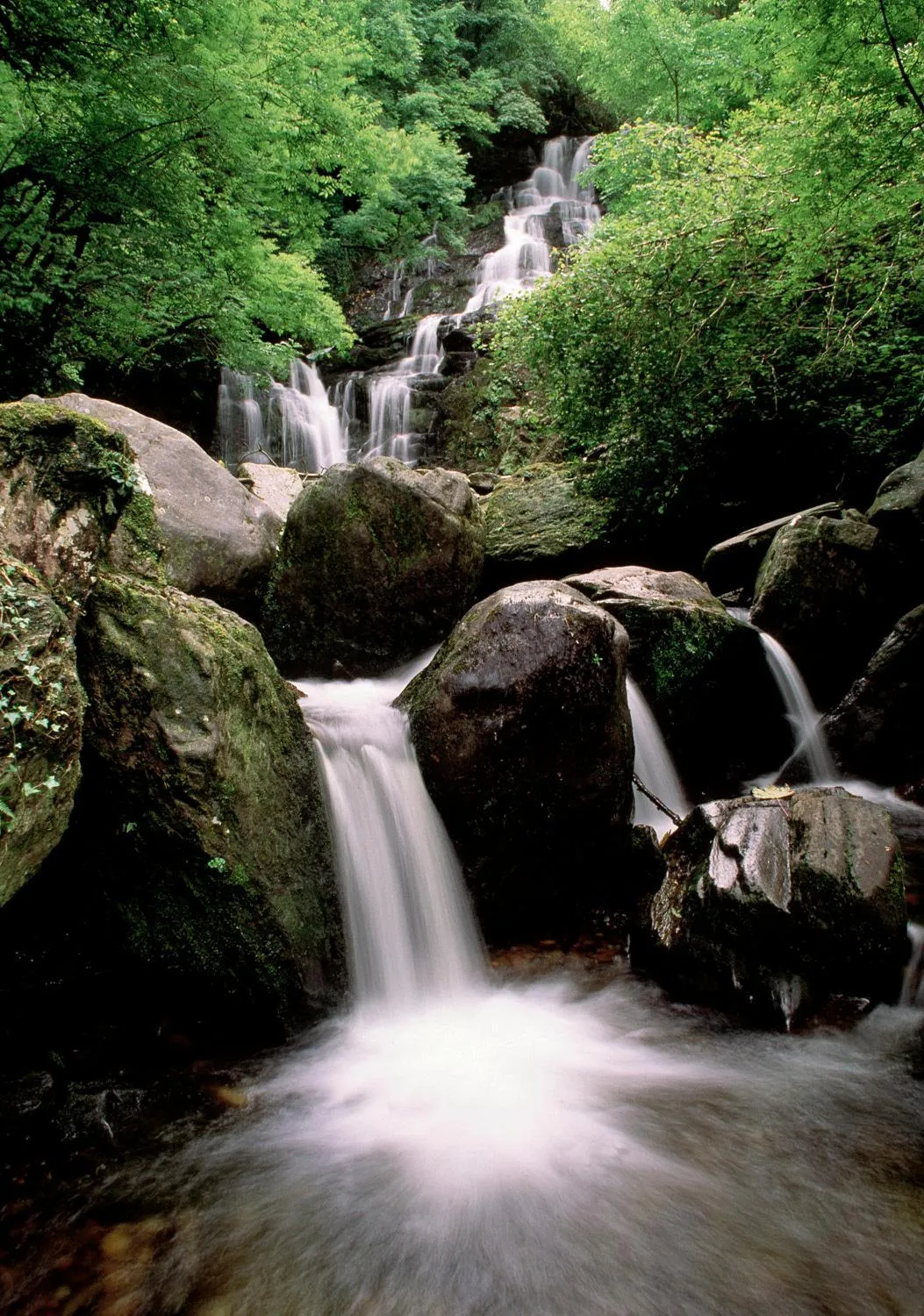 Nearby landmark in Abbey Lodge