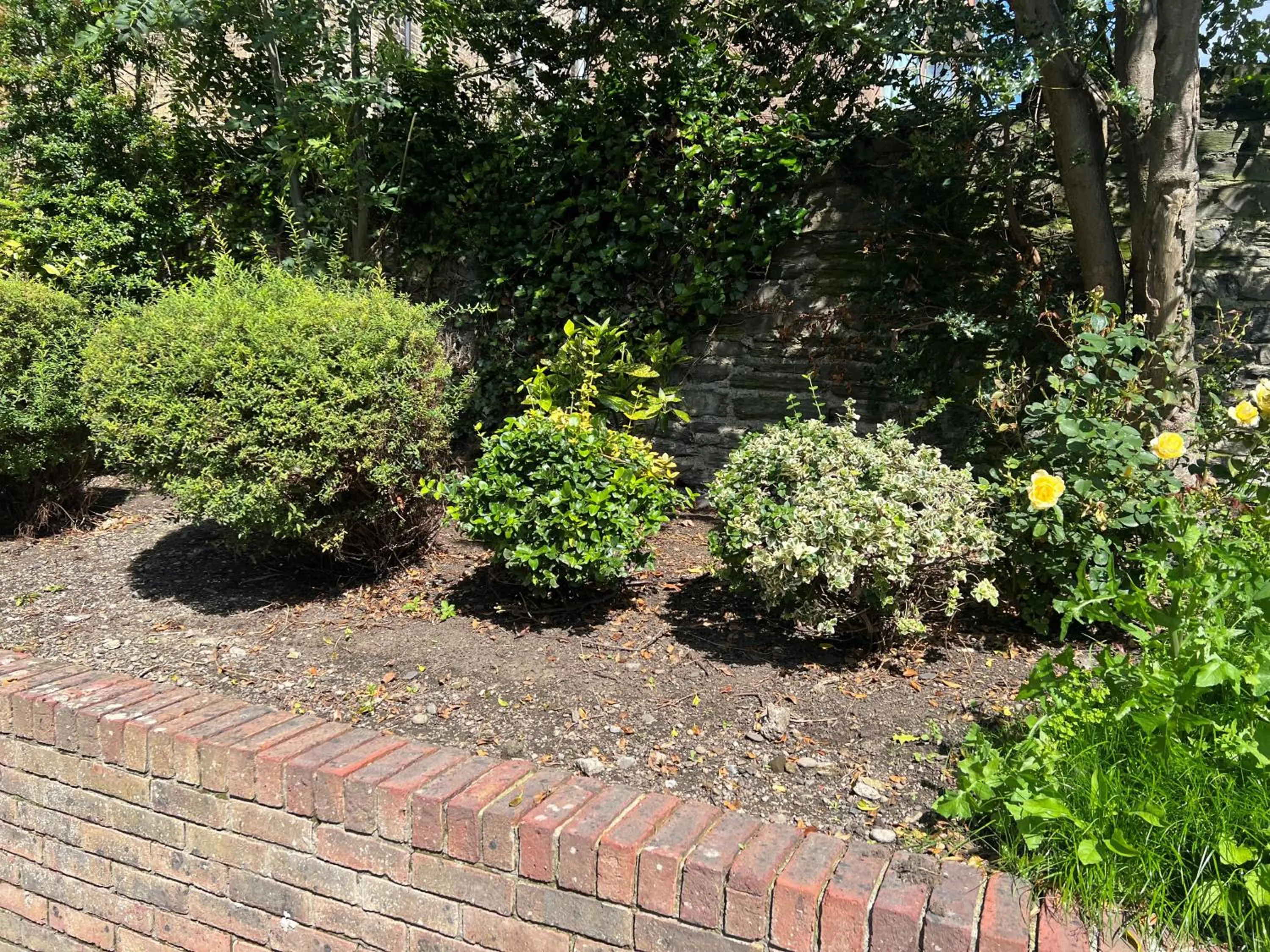 Waterloo Town House & Suites