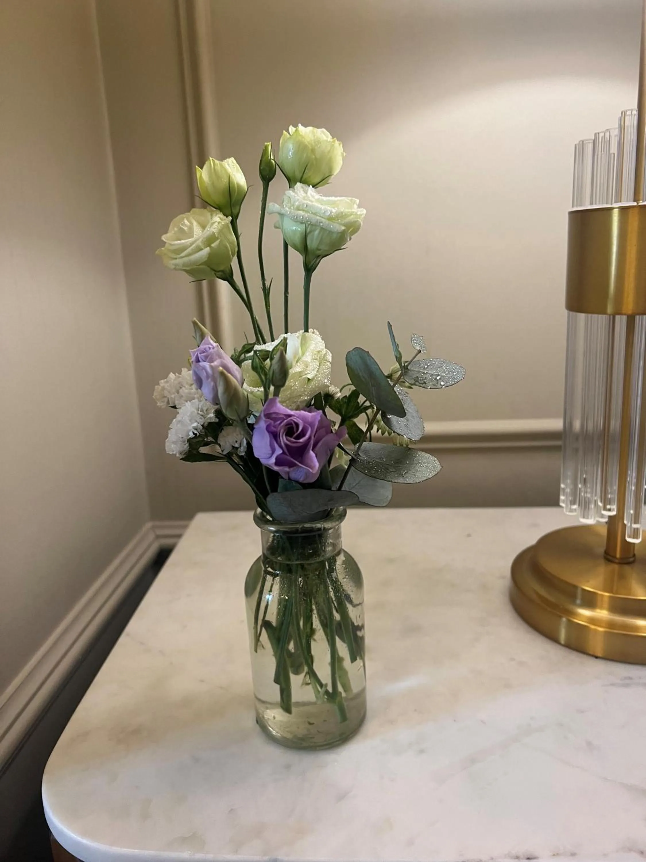 Waterloo Town House & Suites