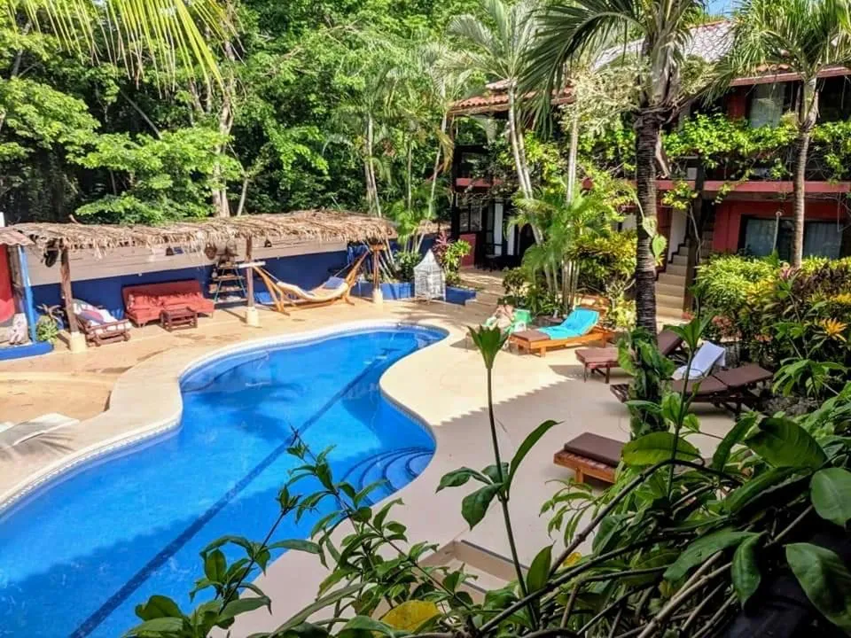 Swimming pool in Massai Apartments