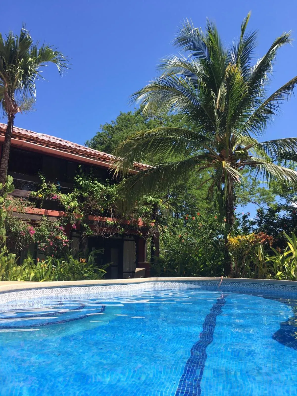 Swimming pool in Massai Apartments