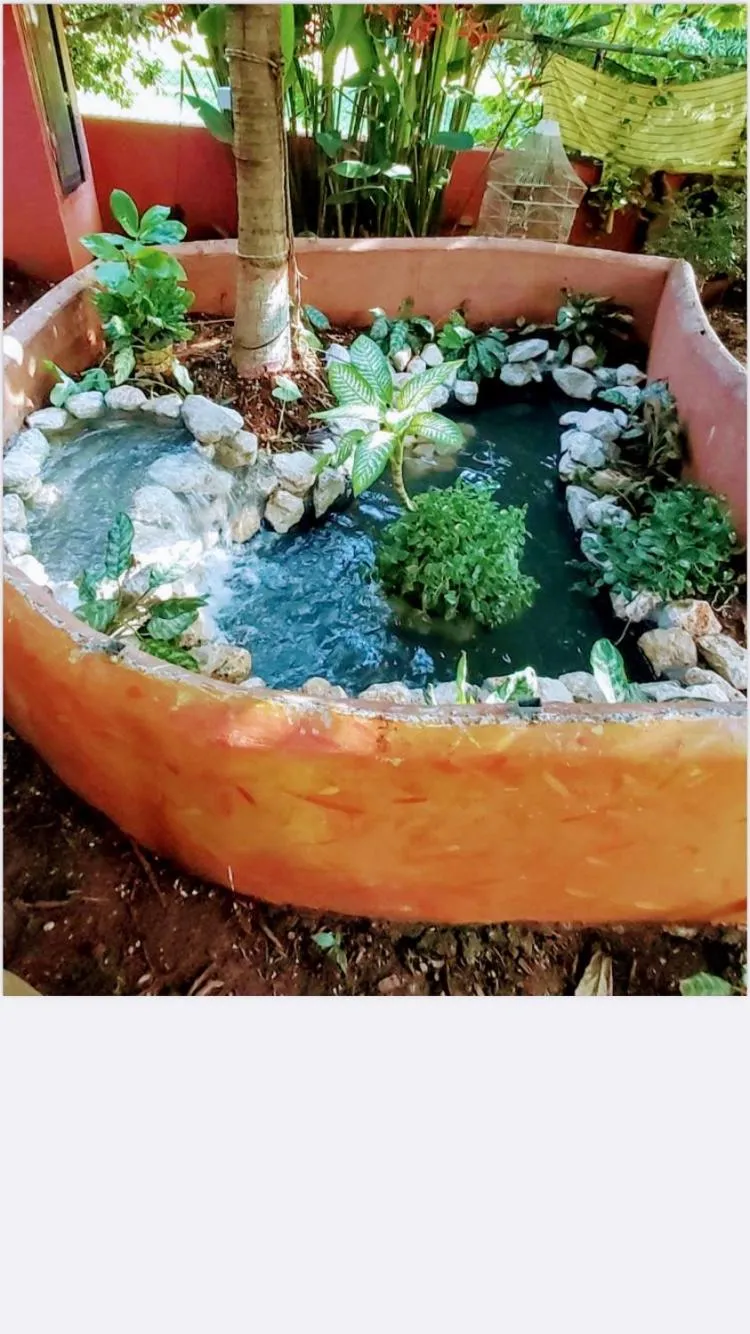 Garden view in Massai Apartments