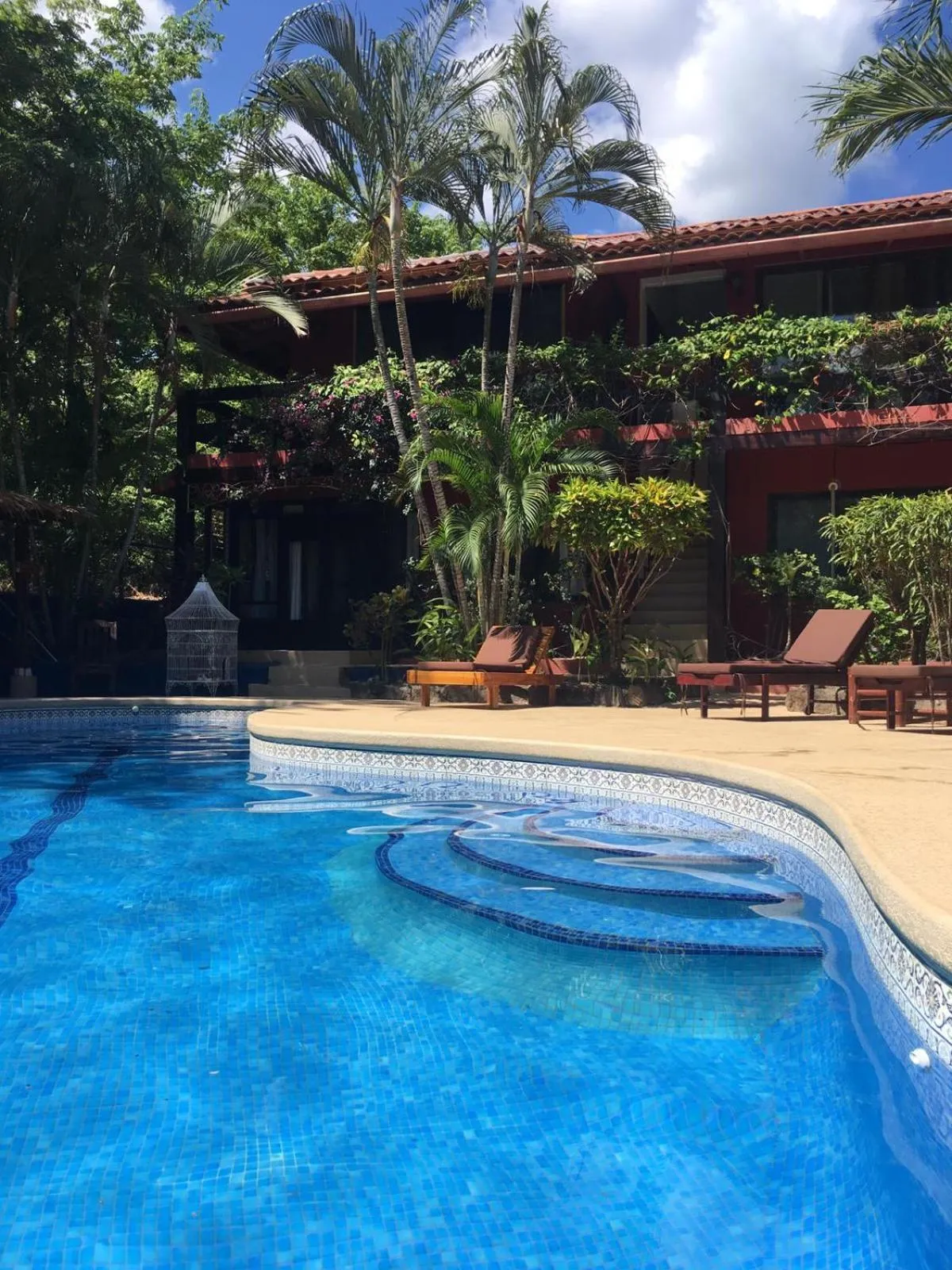 Swimming pool in Massai Apartments