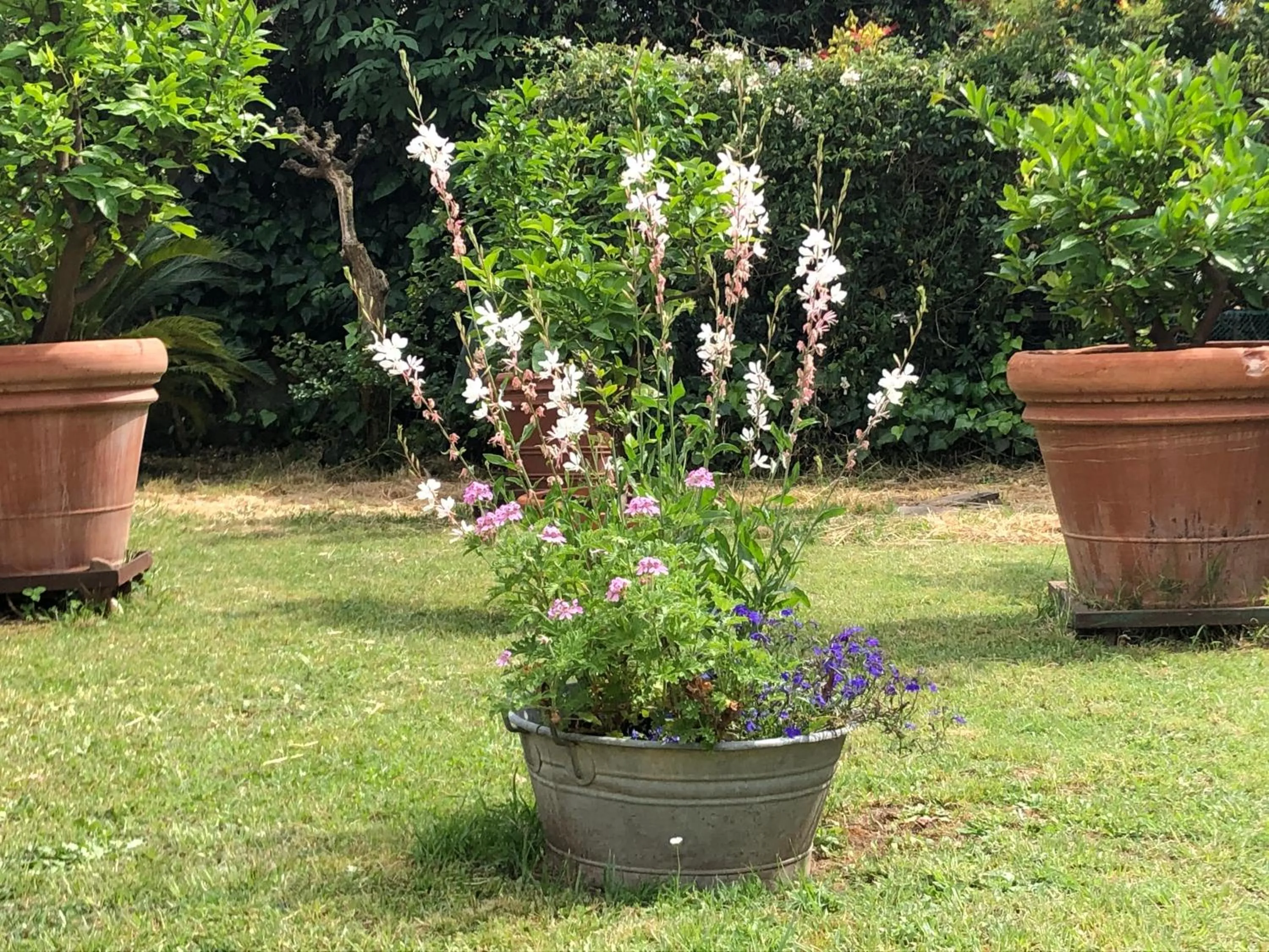 Garden in Casa Marcè a "Sonno"