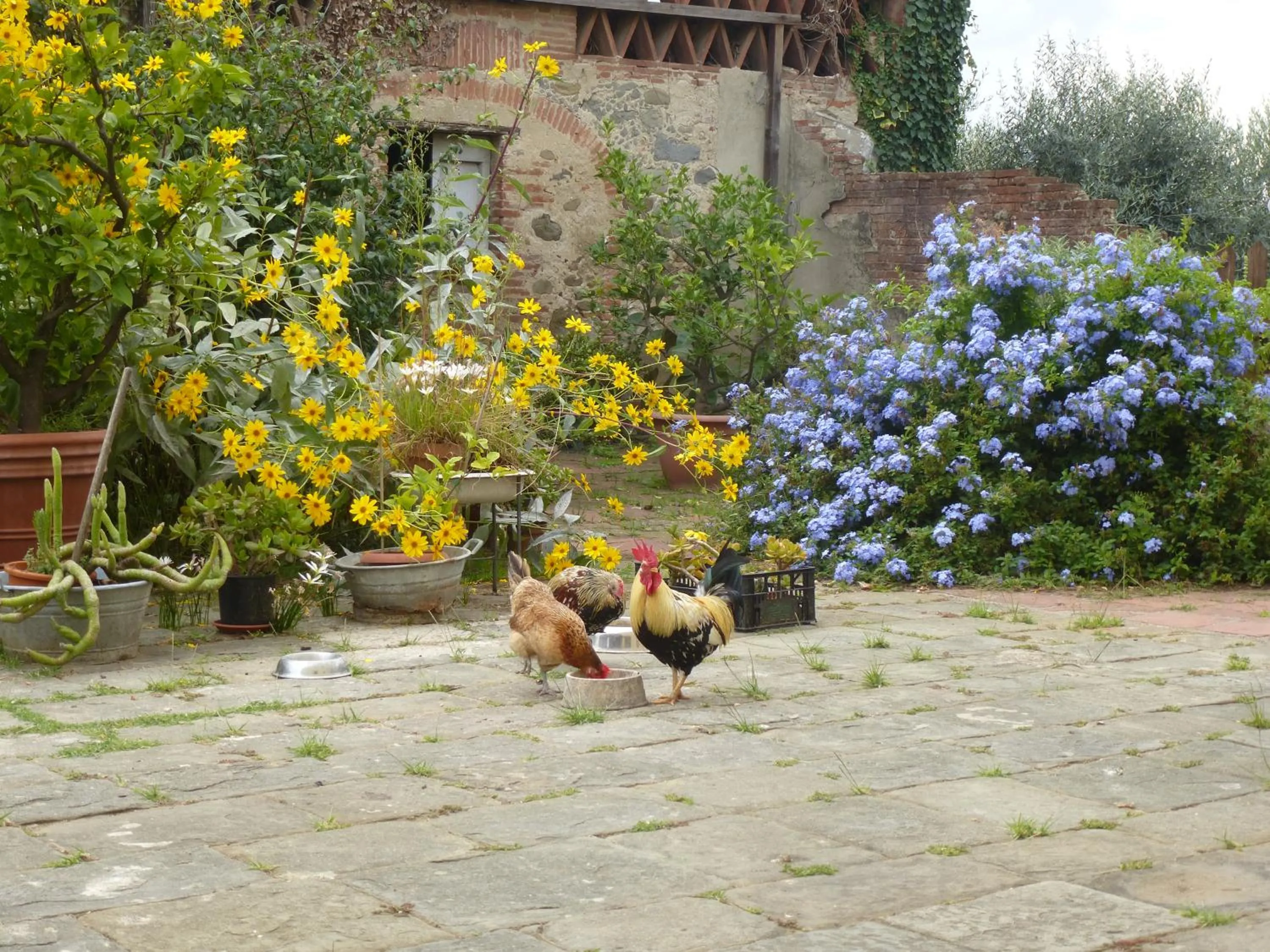 Inner courtyard view in Casa Marcè a "Sonno"