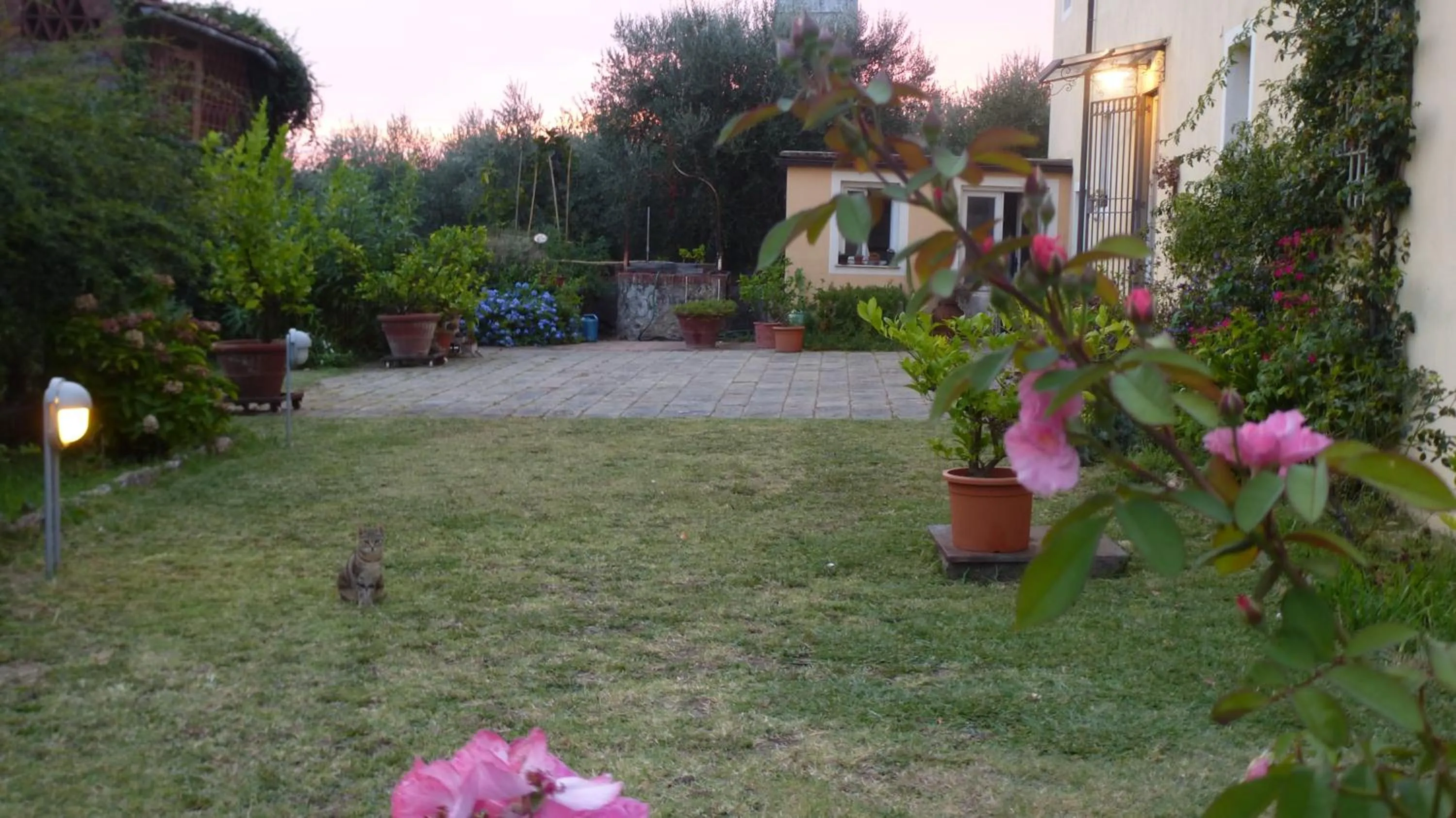 Garden in Casa Marcè a "Sonno"