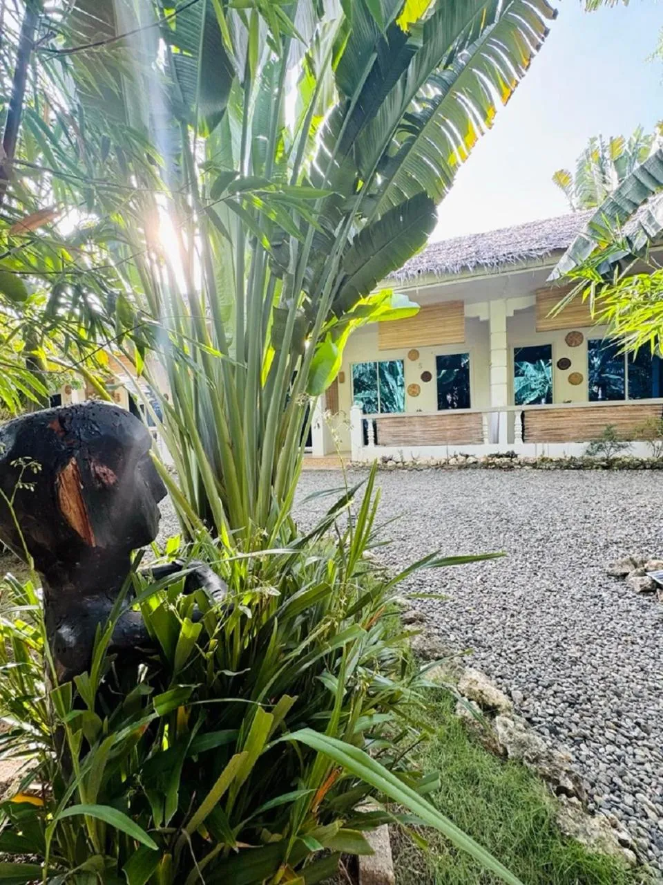 Garden in Nautilus Hostel & Hammocks