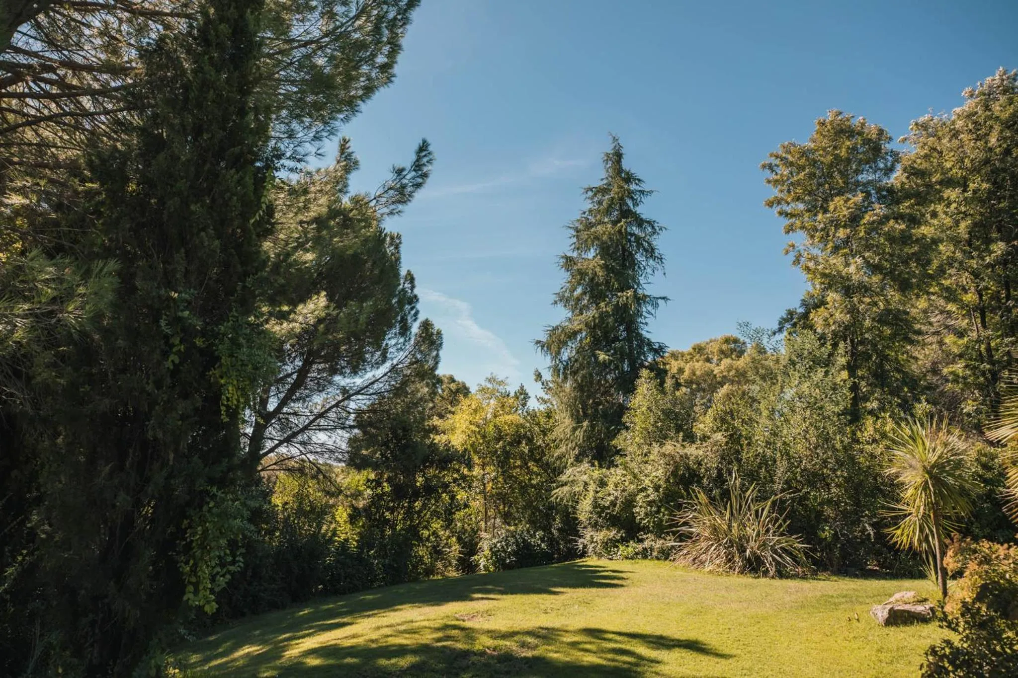 Natural landscape in Hotel Fonte Santa
