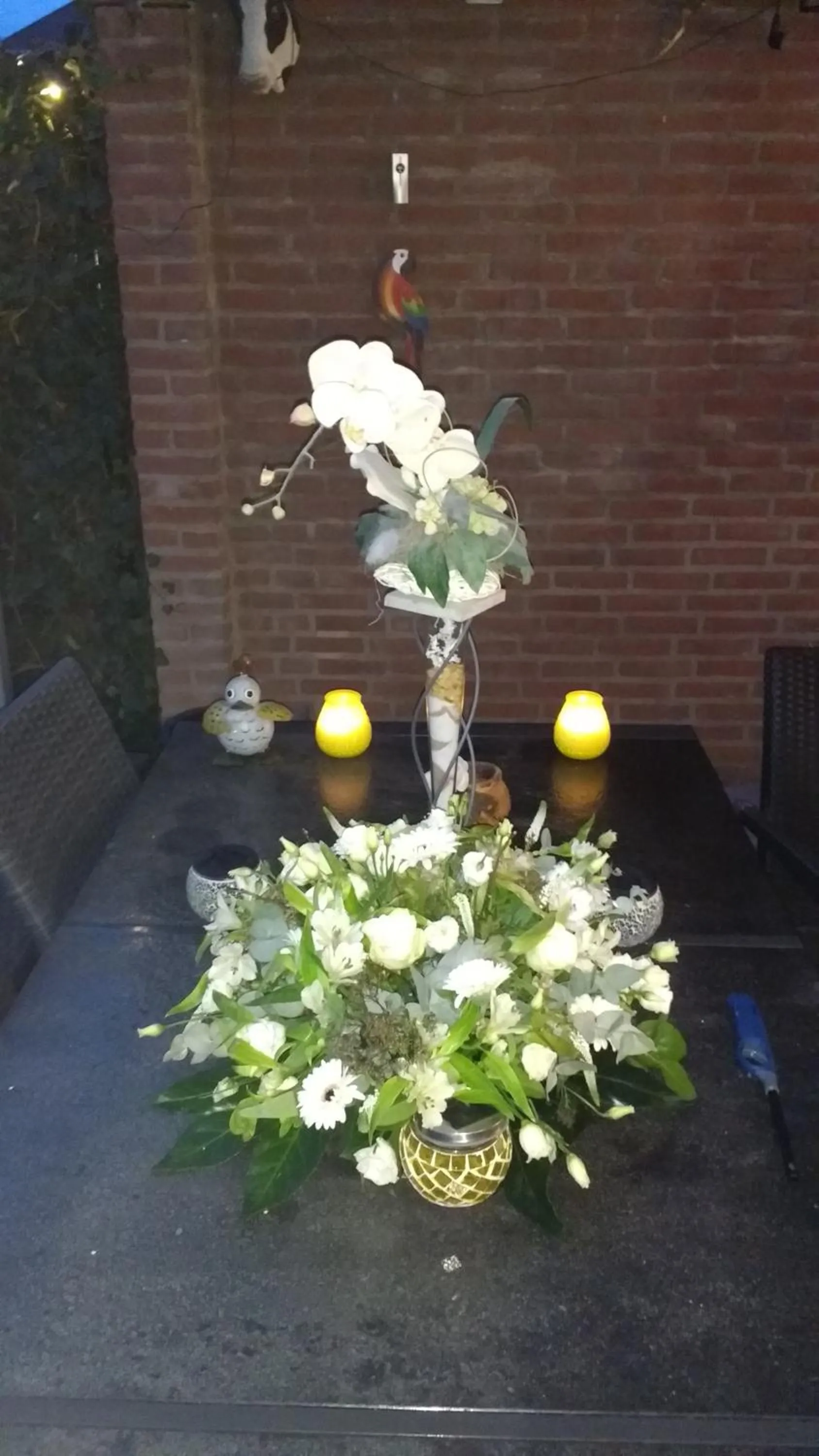 Garden in Rene's B&B