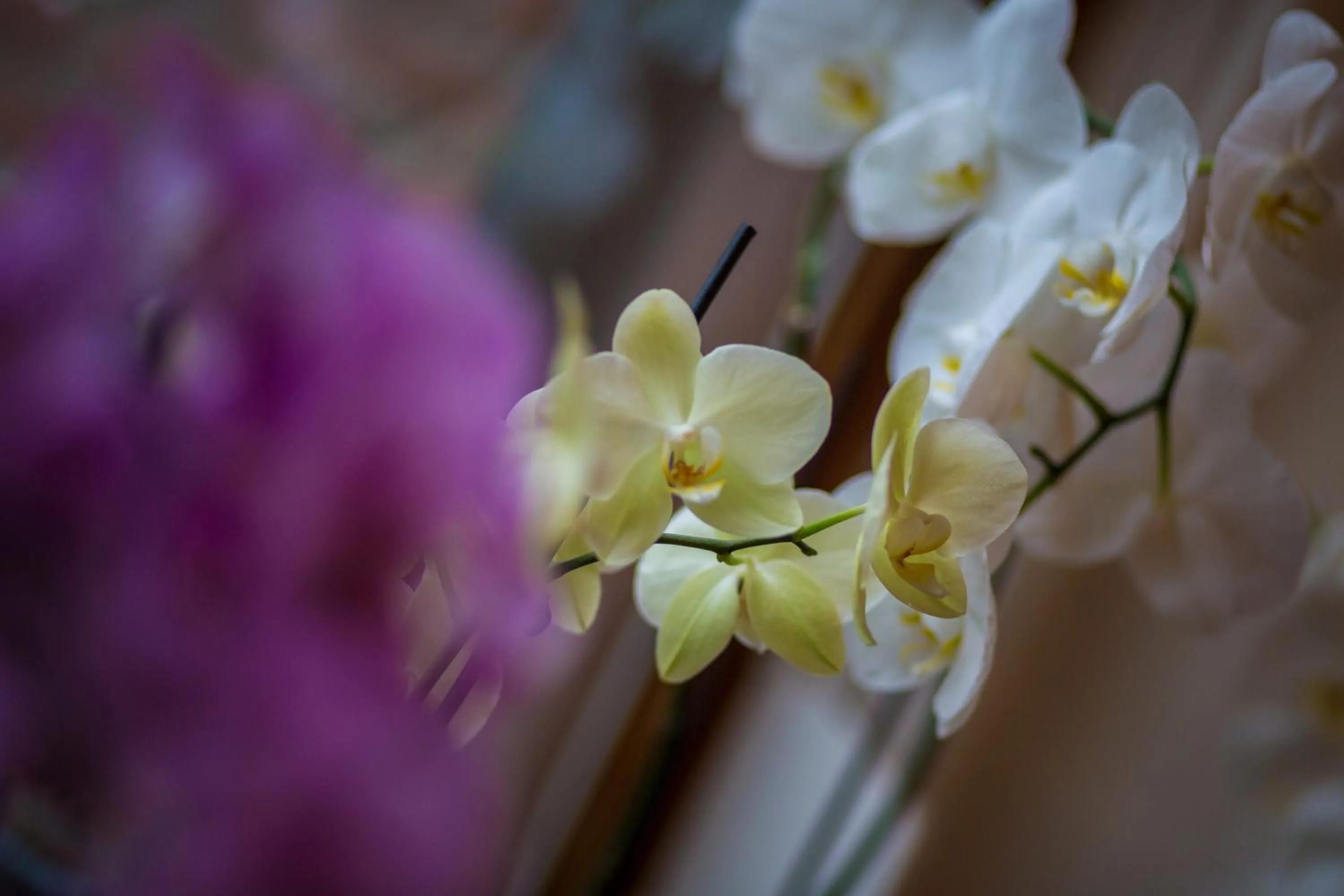 Decorative detail in Rene's B&B
