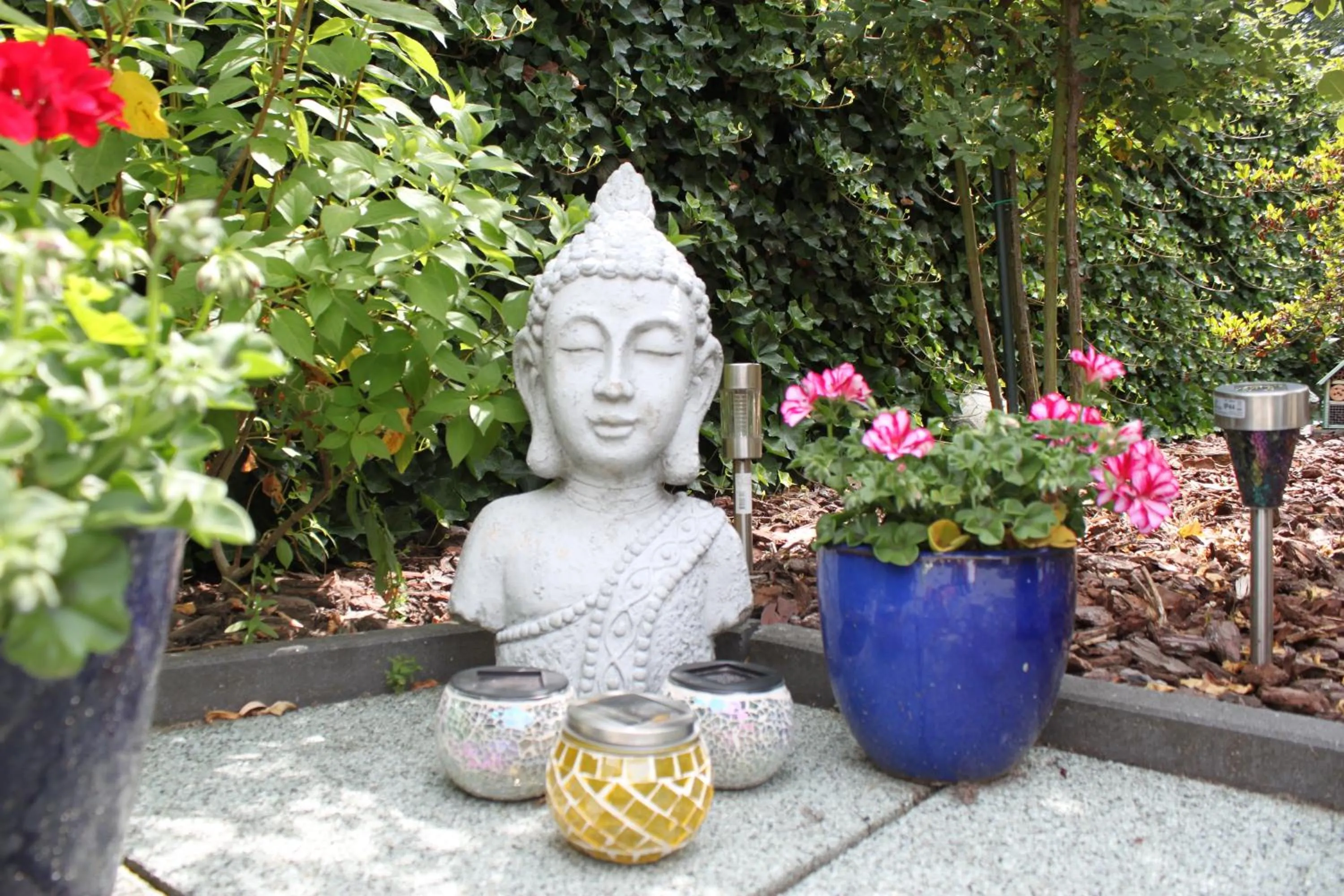 Garden in Rene's B&B