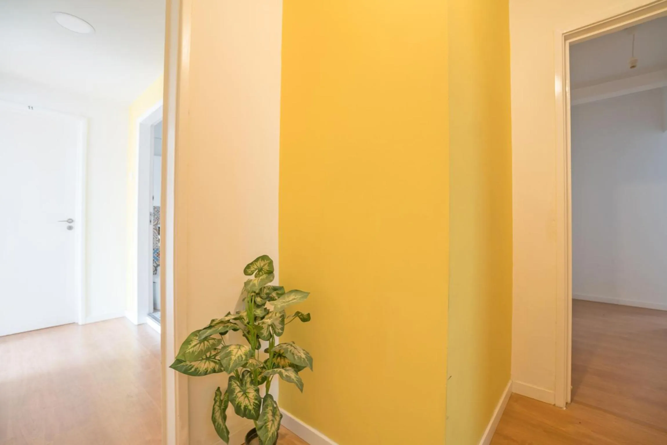 Decorative detail in Vistas de Lisboa Hostel