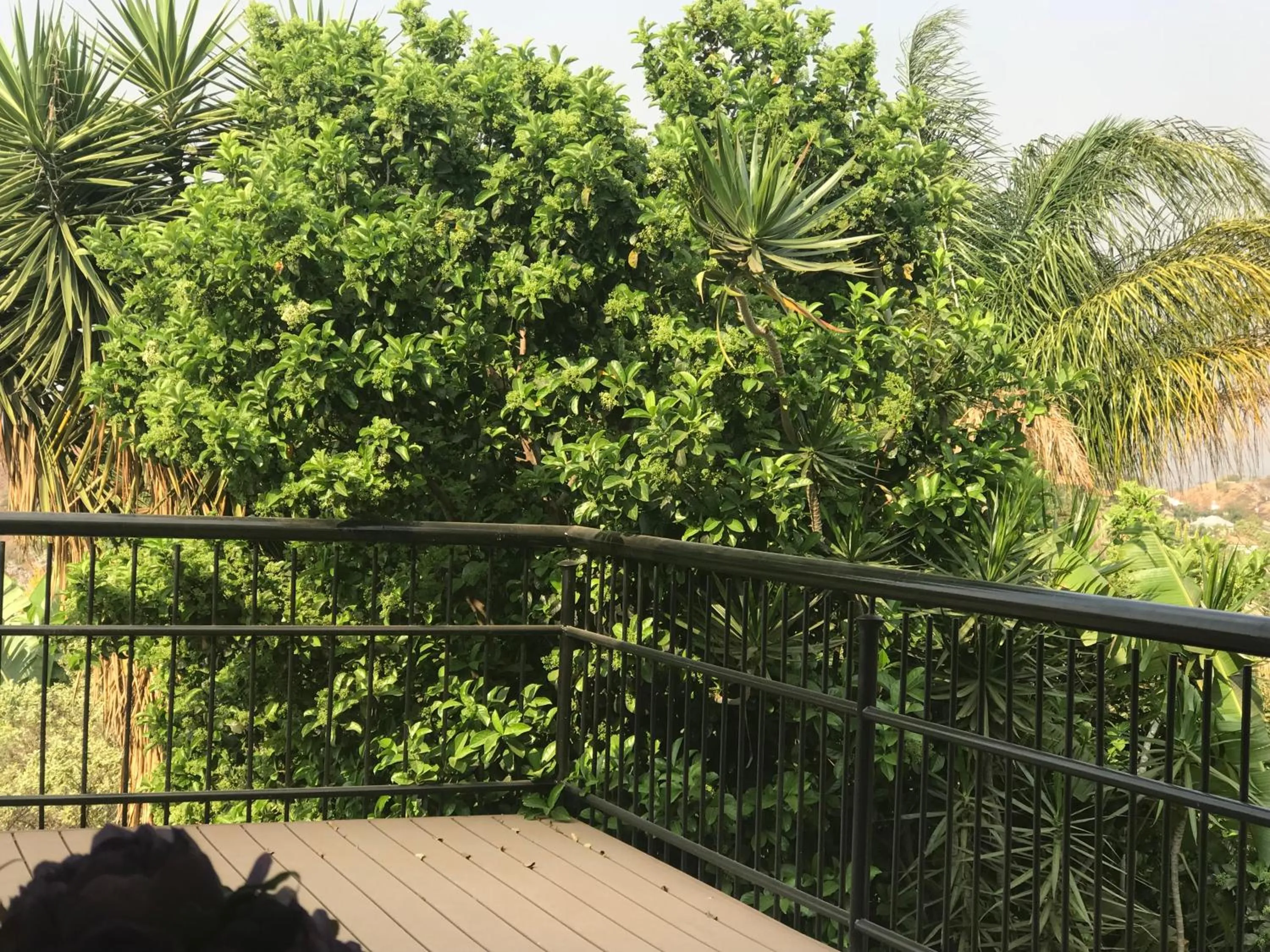 Garden in Bokamoso Views