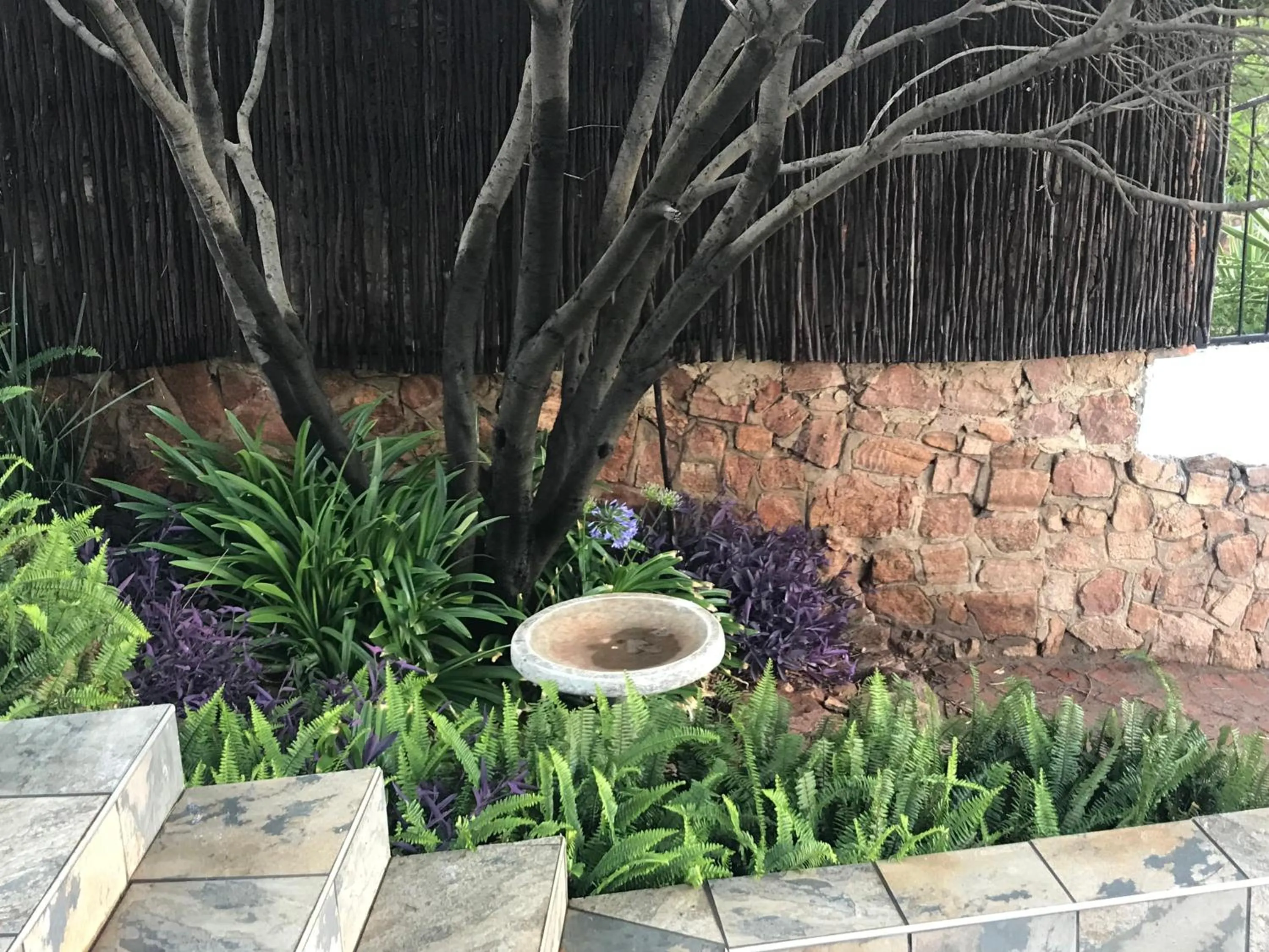 Garden in Bokamoso Views