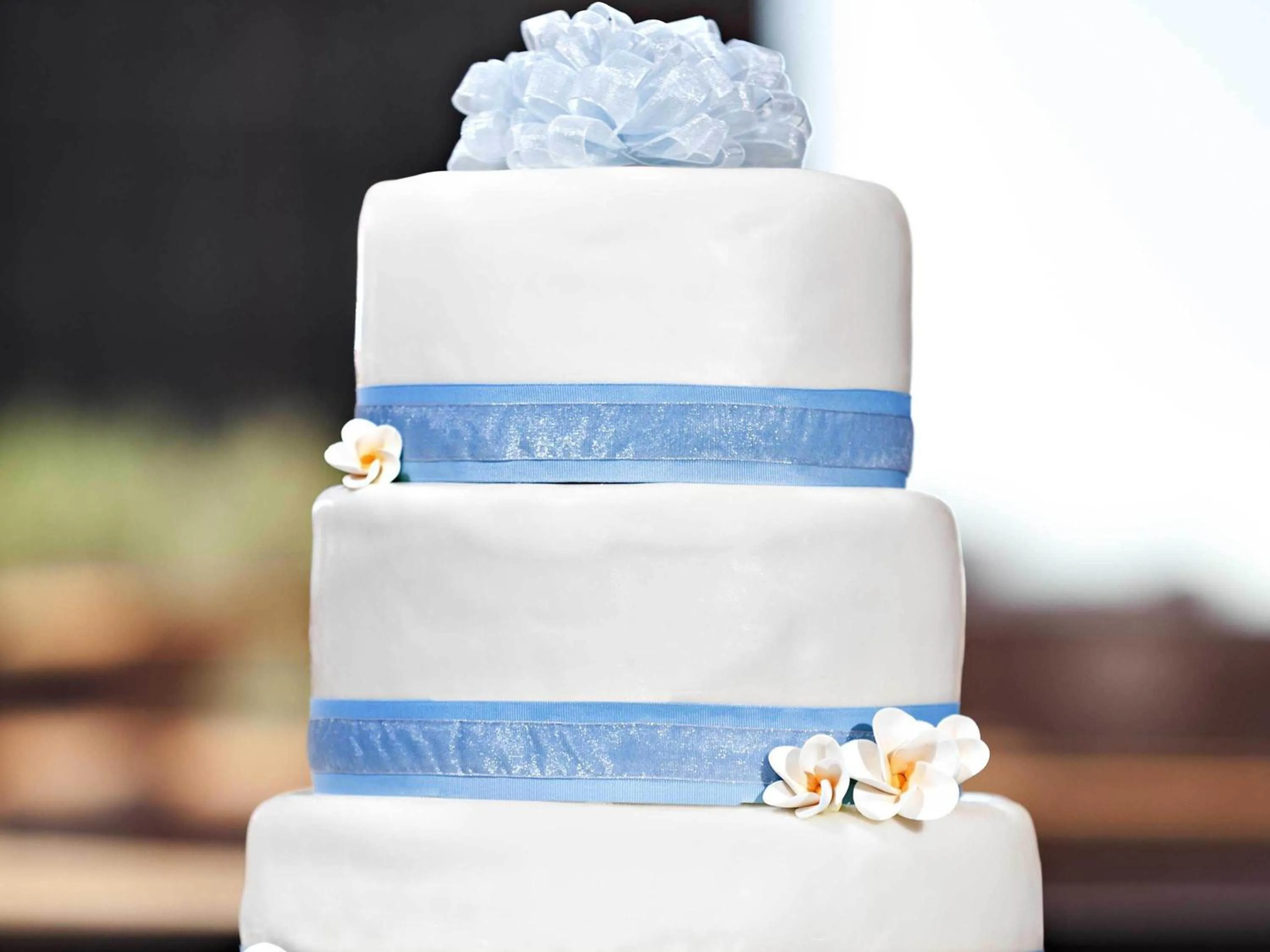 wedding in Fairmont Dallas