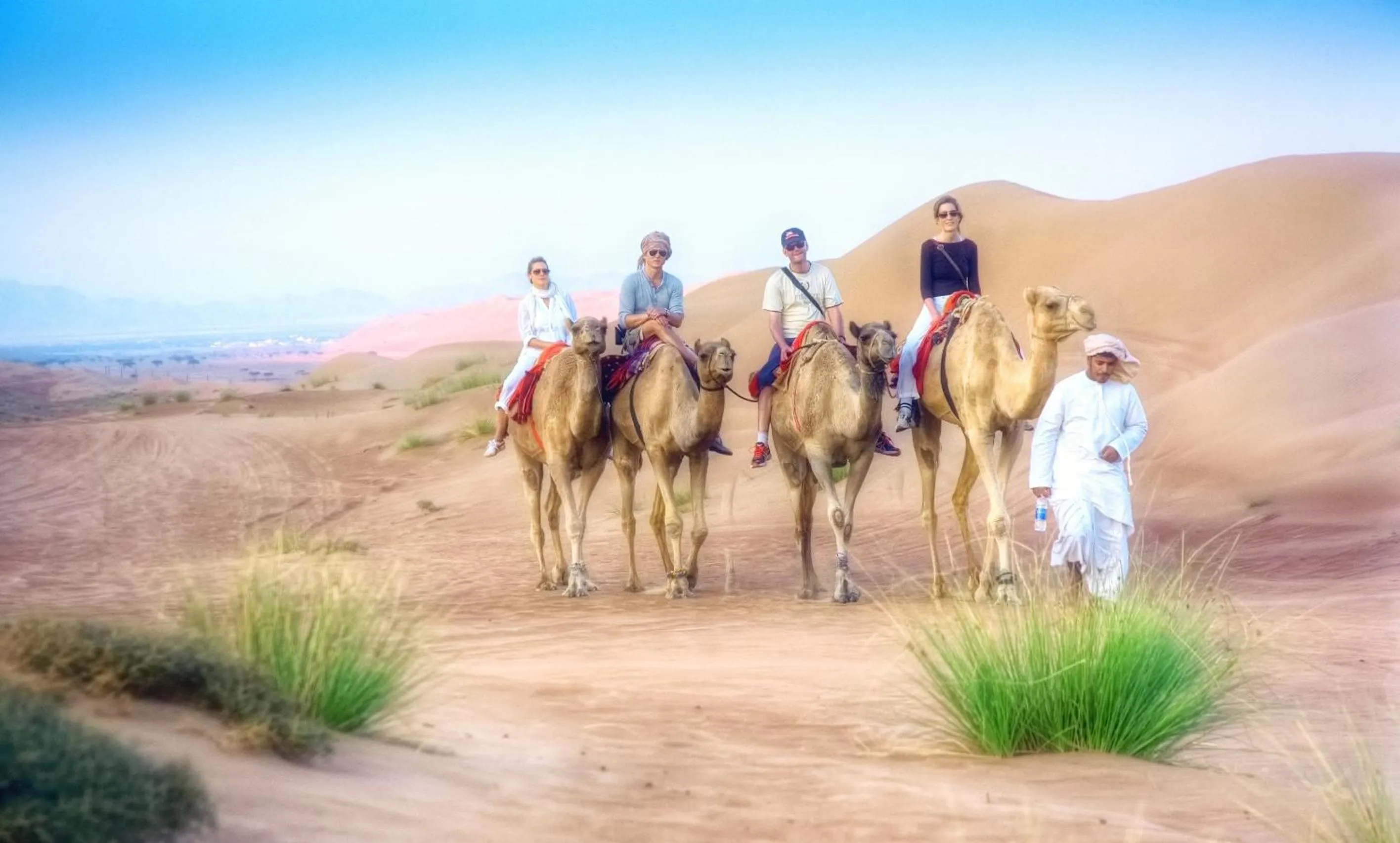 View (from property/room) in Arabian Oryx Camp
