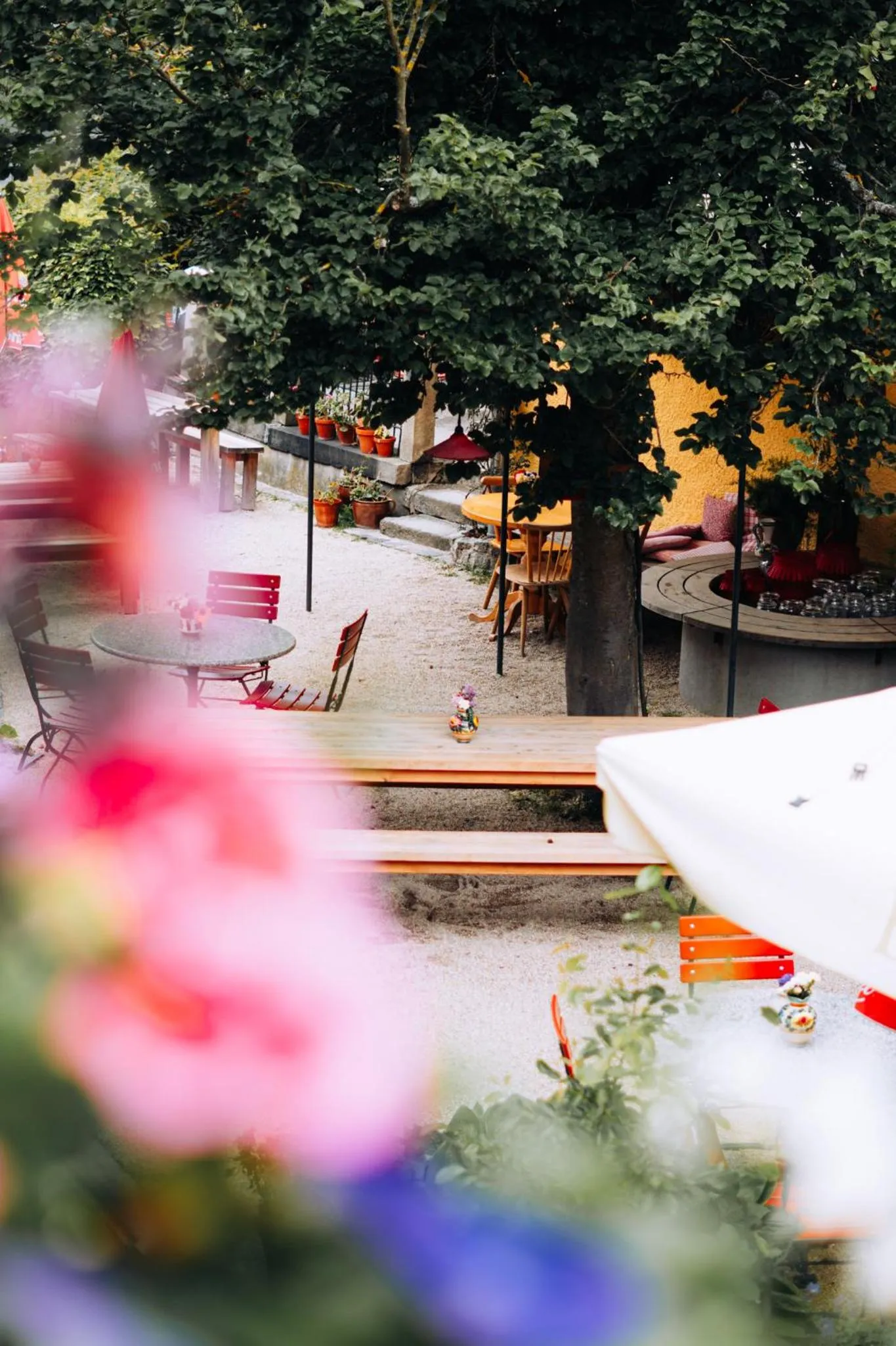 Garden in Bräustüberl Schönbrunn - Hotel & Restaurant