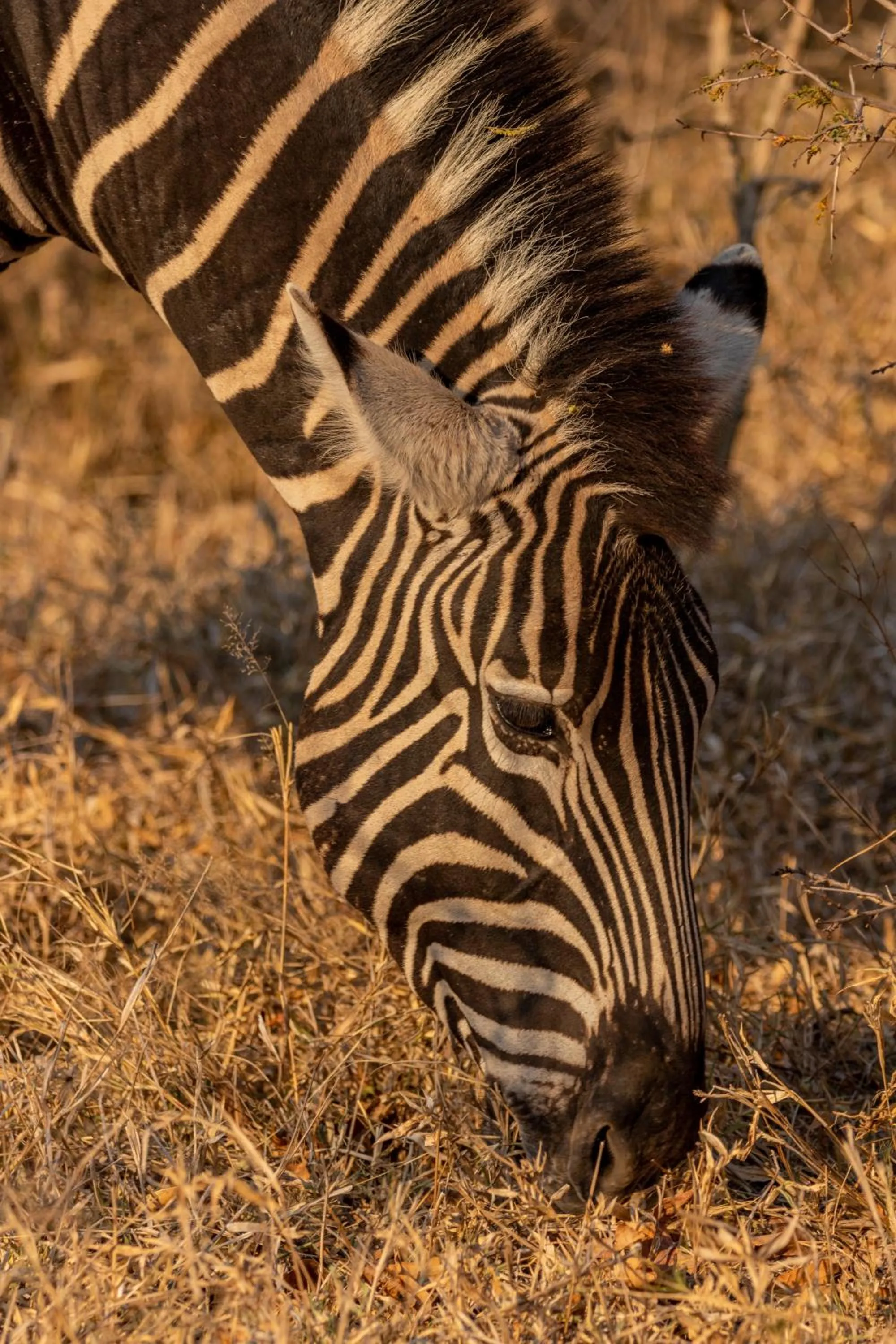 Activities in Panzi Lodge