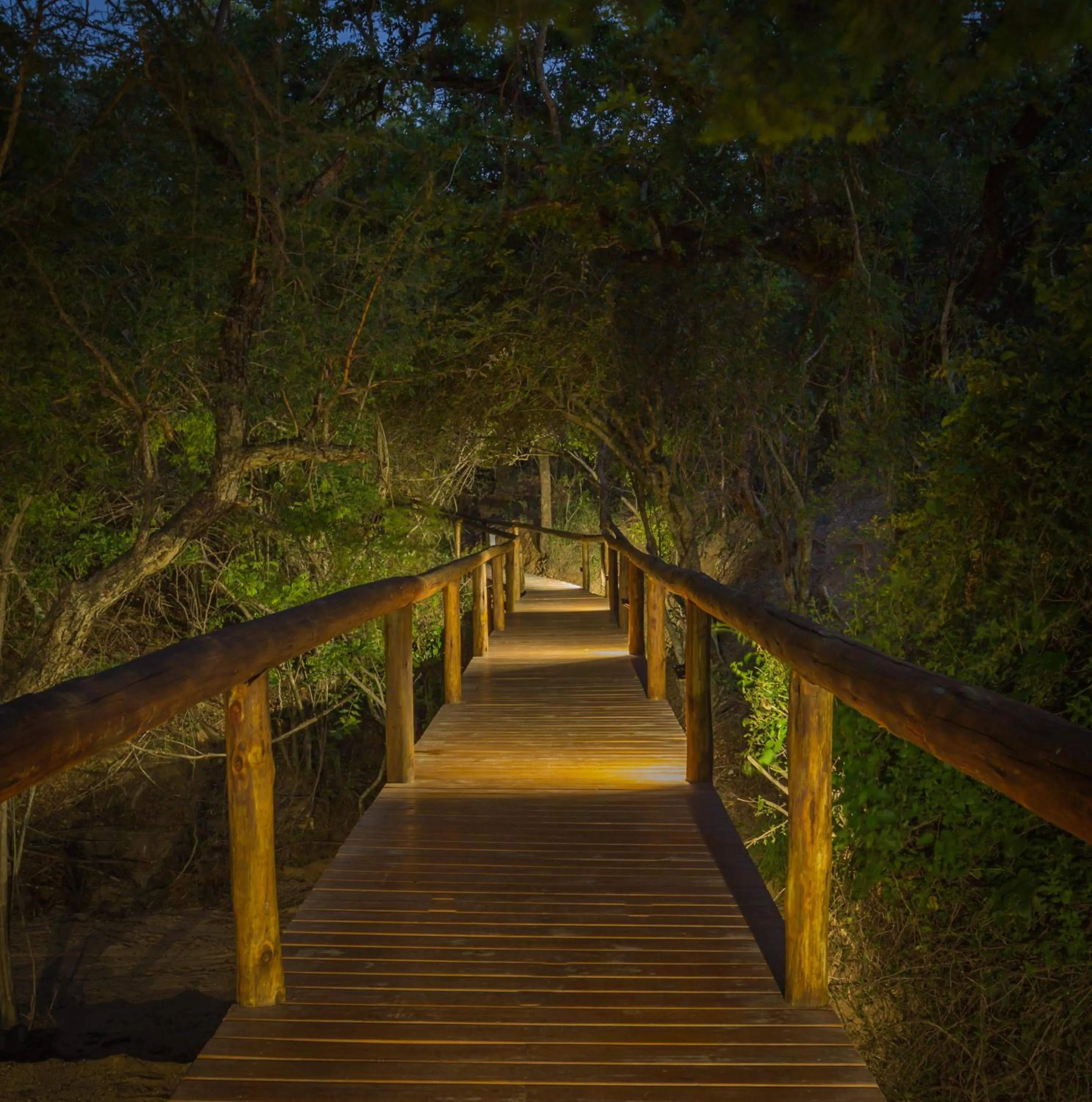Garden in Panzi Lodge