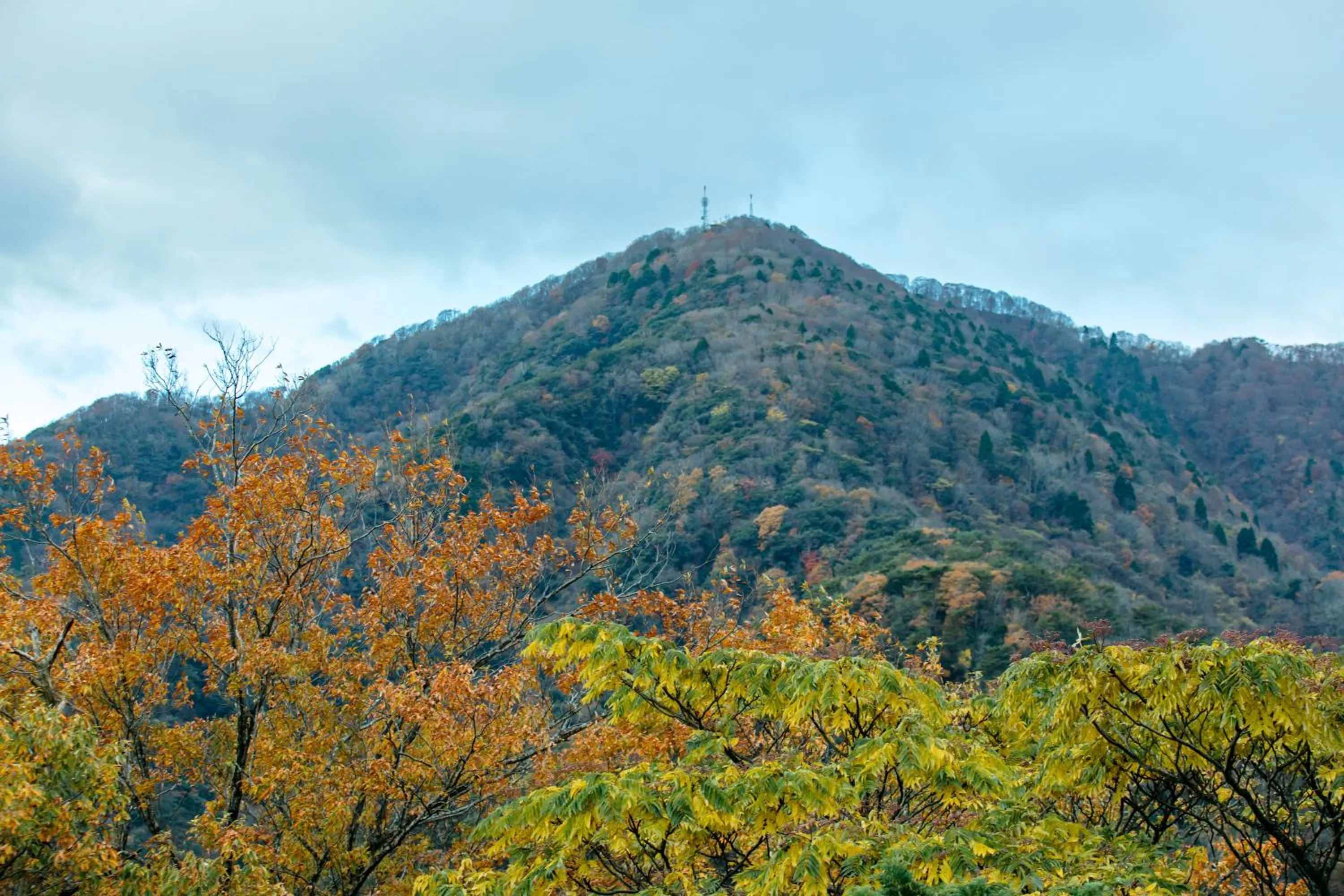 Nearby landmark in Sensui