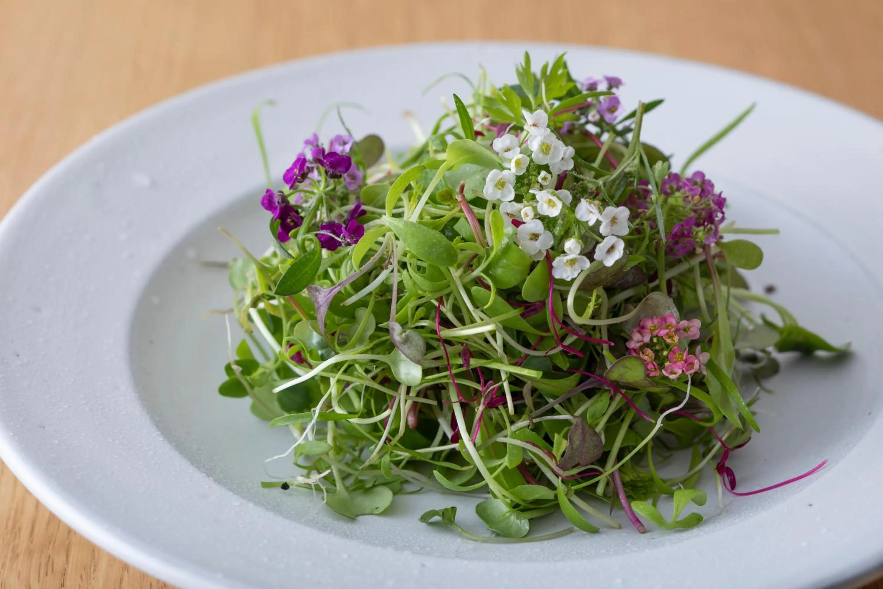 Food close-up in Sensui