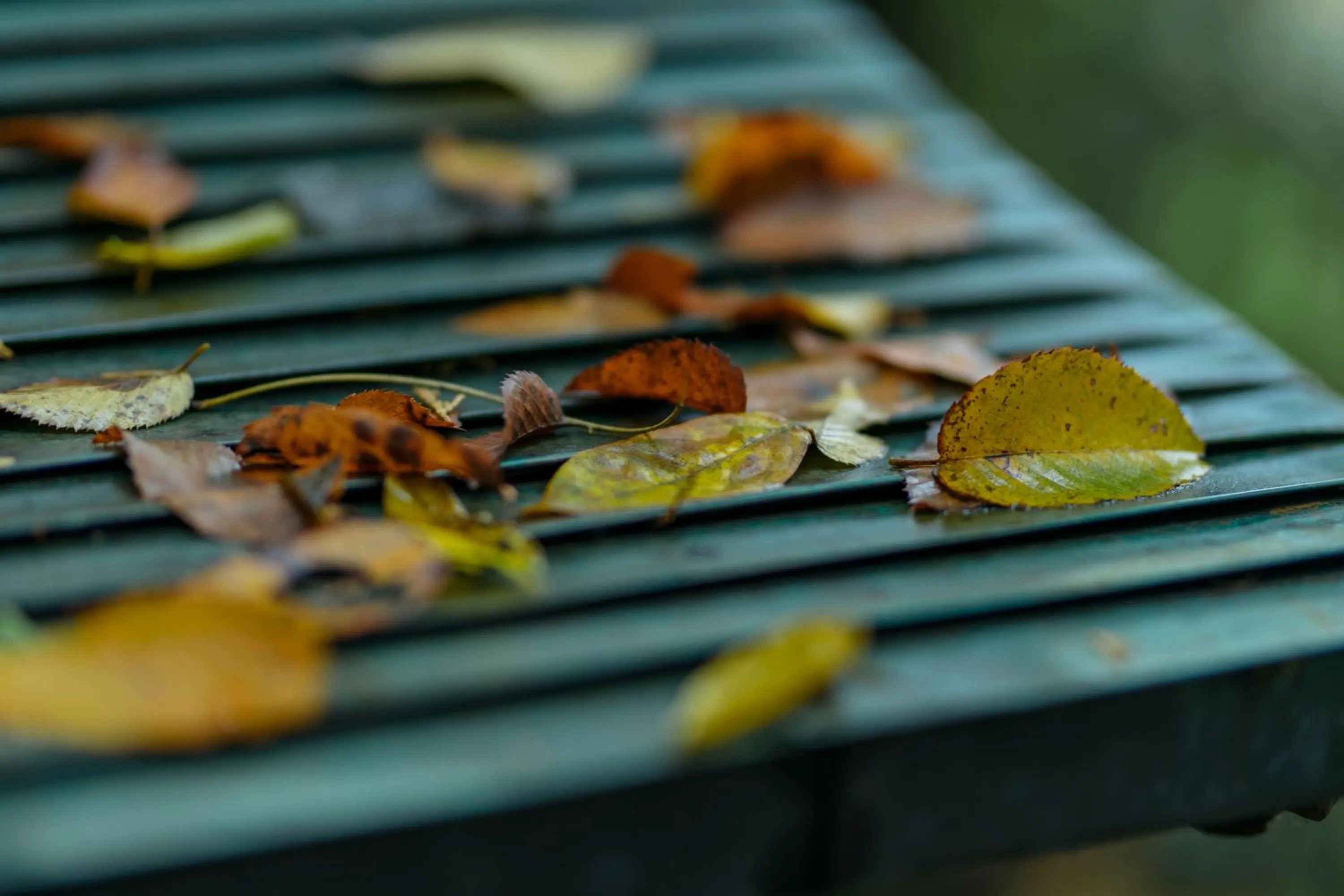 Natural landscape in Sensui