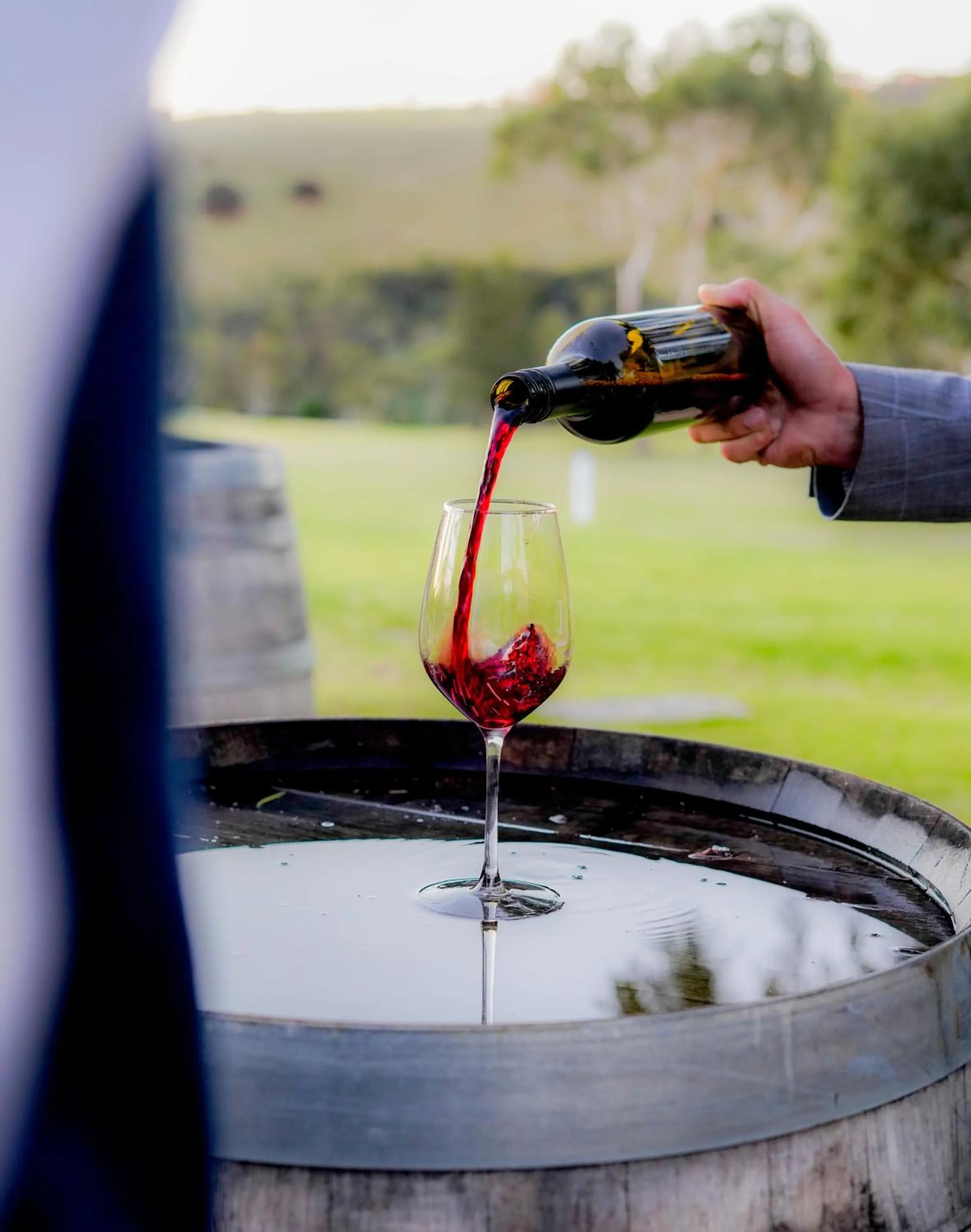 Lounge or bar in BreakFree Wirrina Cove