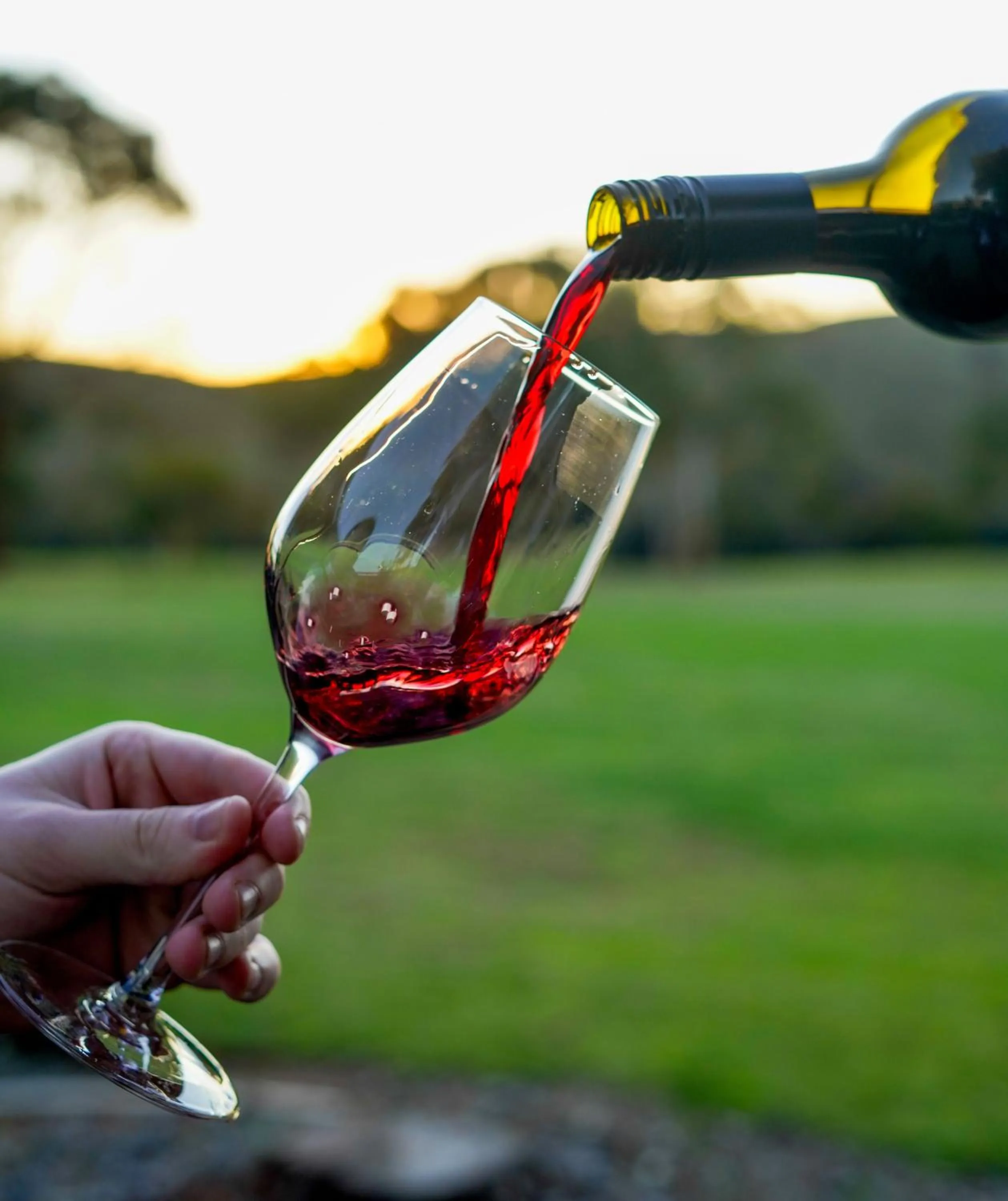 Lounge or bar in BreakFree Wirrina Cove