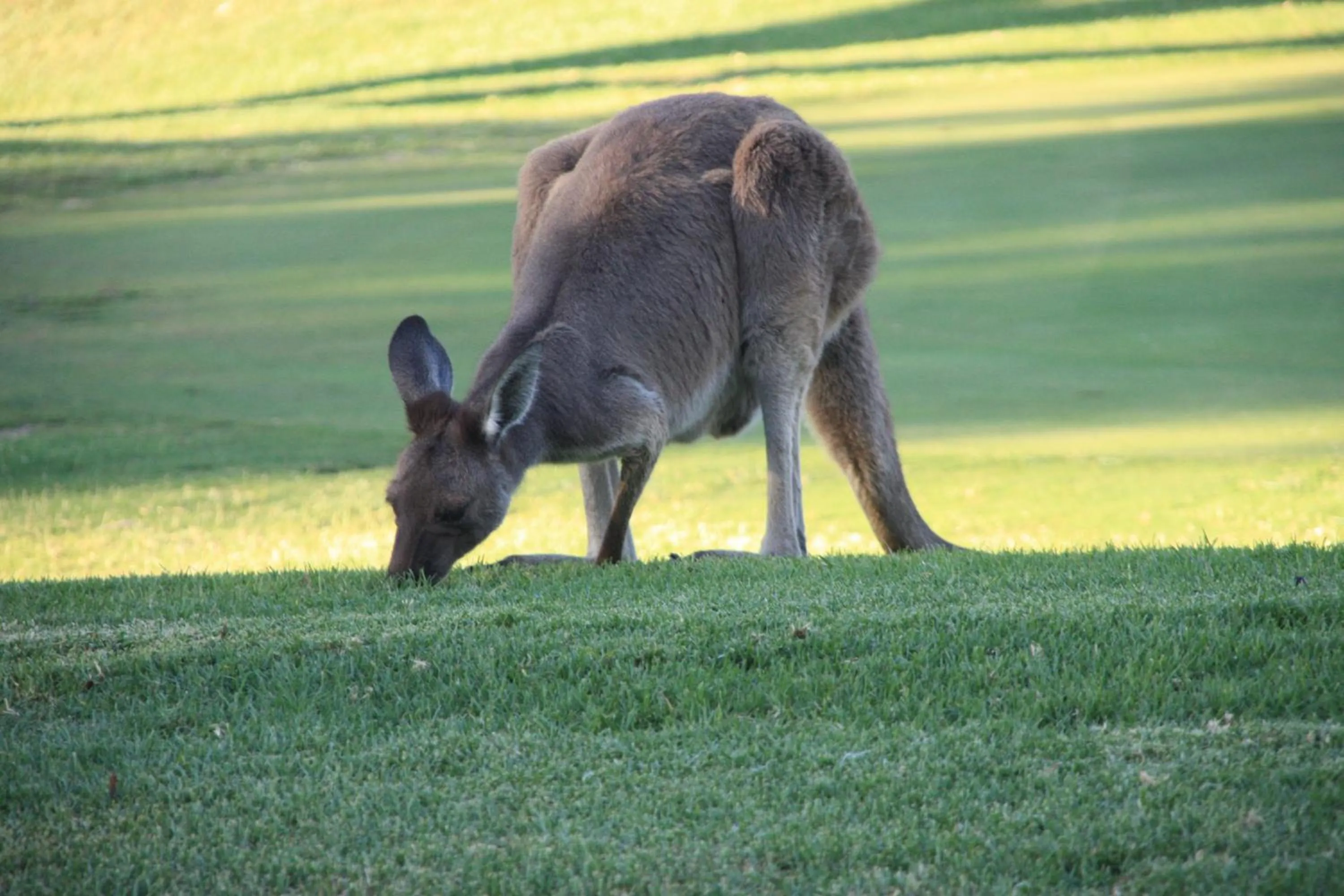 Area and facilities in BreakFree Wirrina Cove