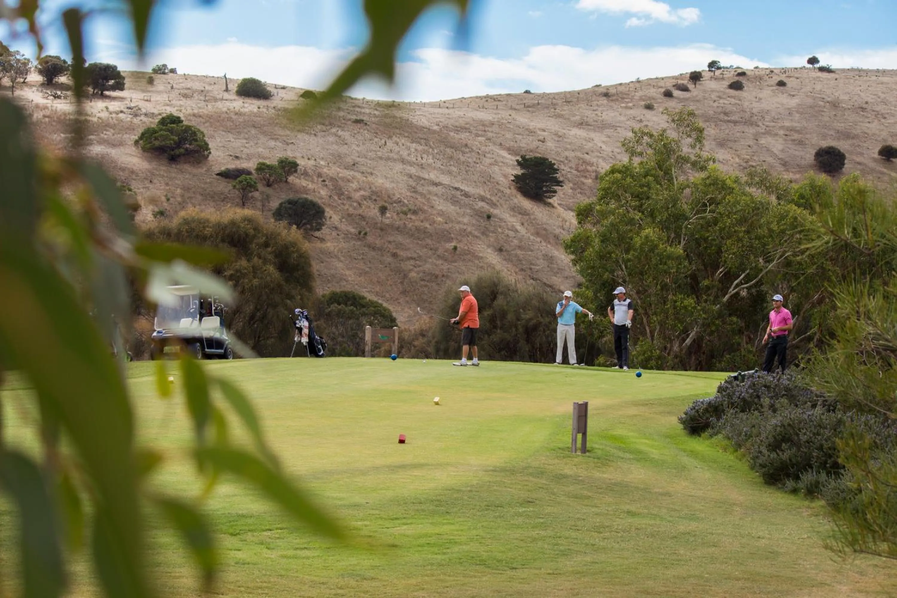 Golfcourse in BreakFree Wirrina Cove