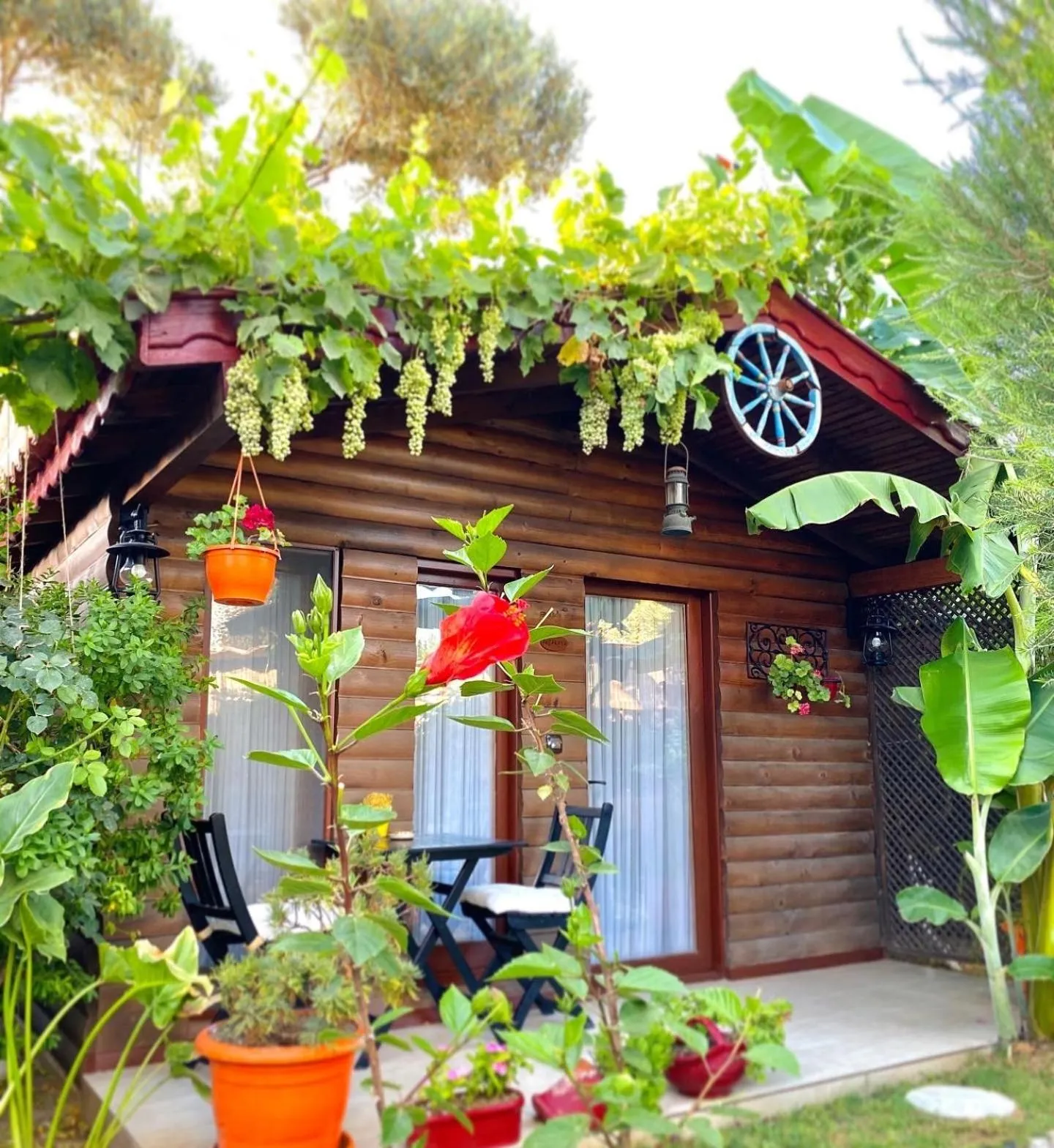 Garden in Alacati Kayezta Hotel