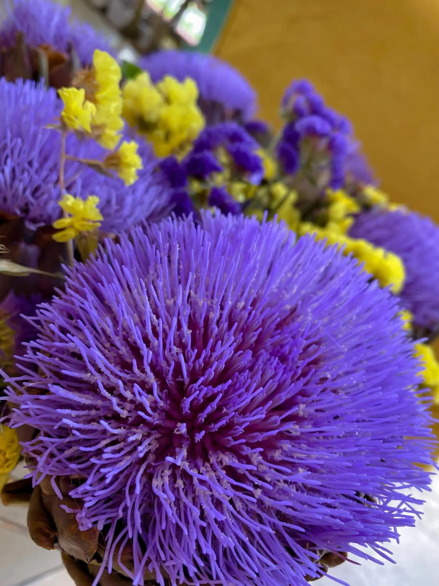 Garden view in Alacati Kayezta Hotel