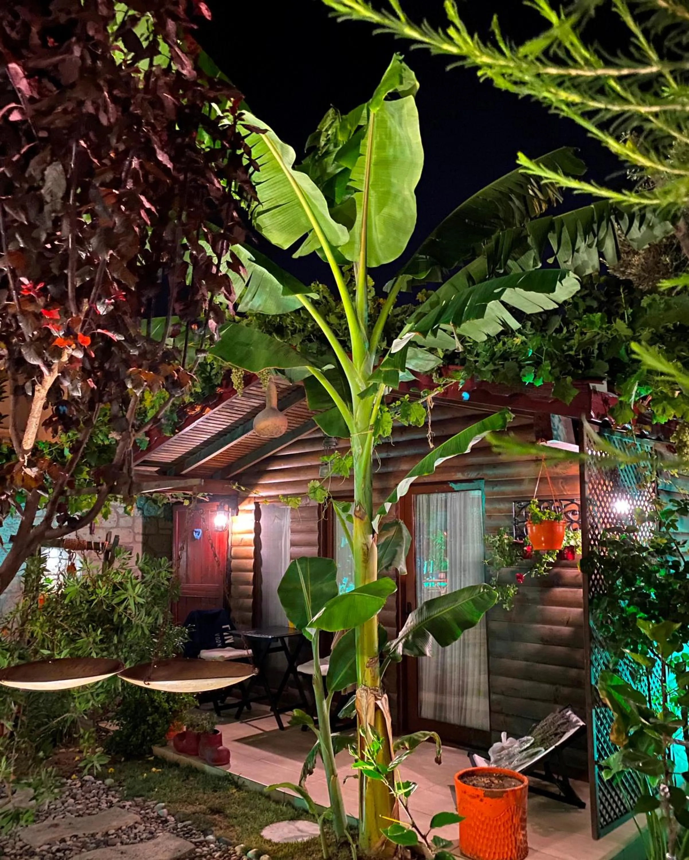 Garden in Alacati Kayezta Hotel