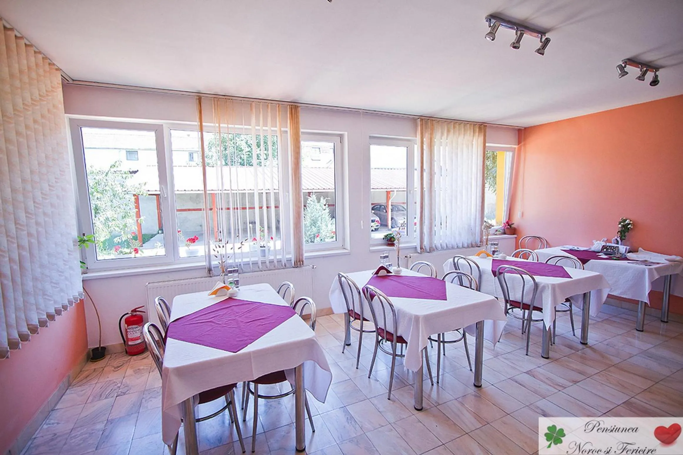 Restaurant/places to eat in Noroc si Fericire