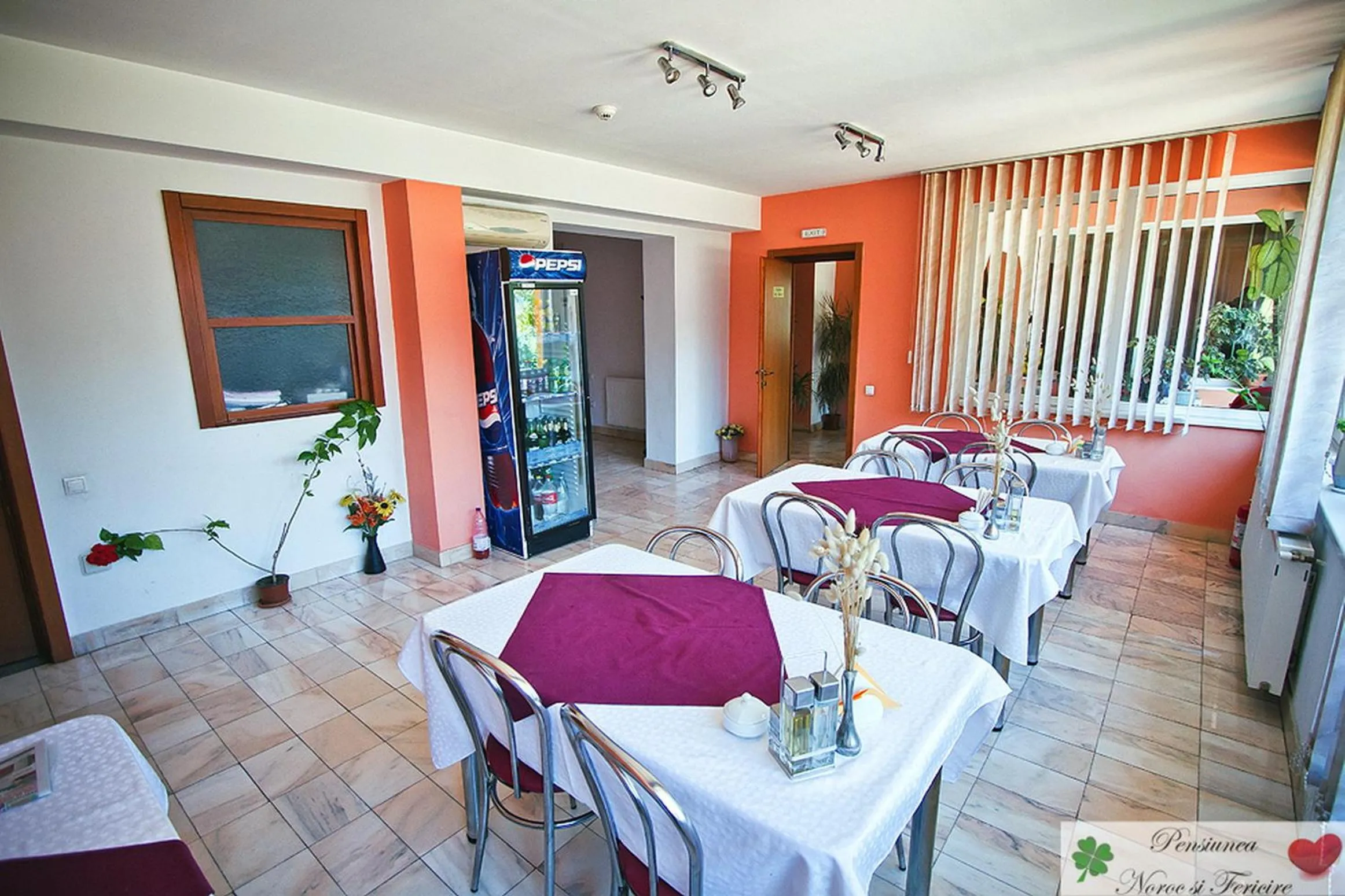 Restaurant/places to eat in Noroc si Fericire
