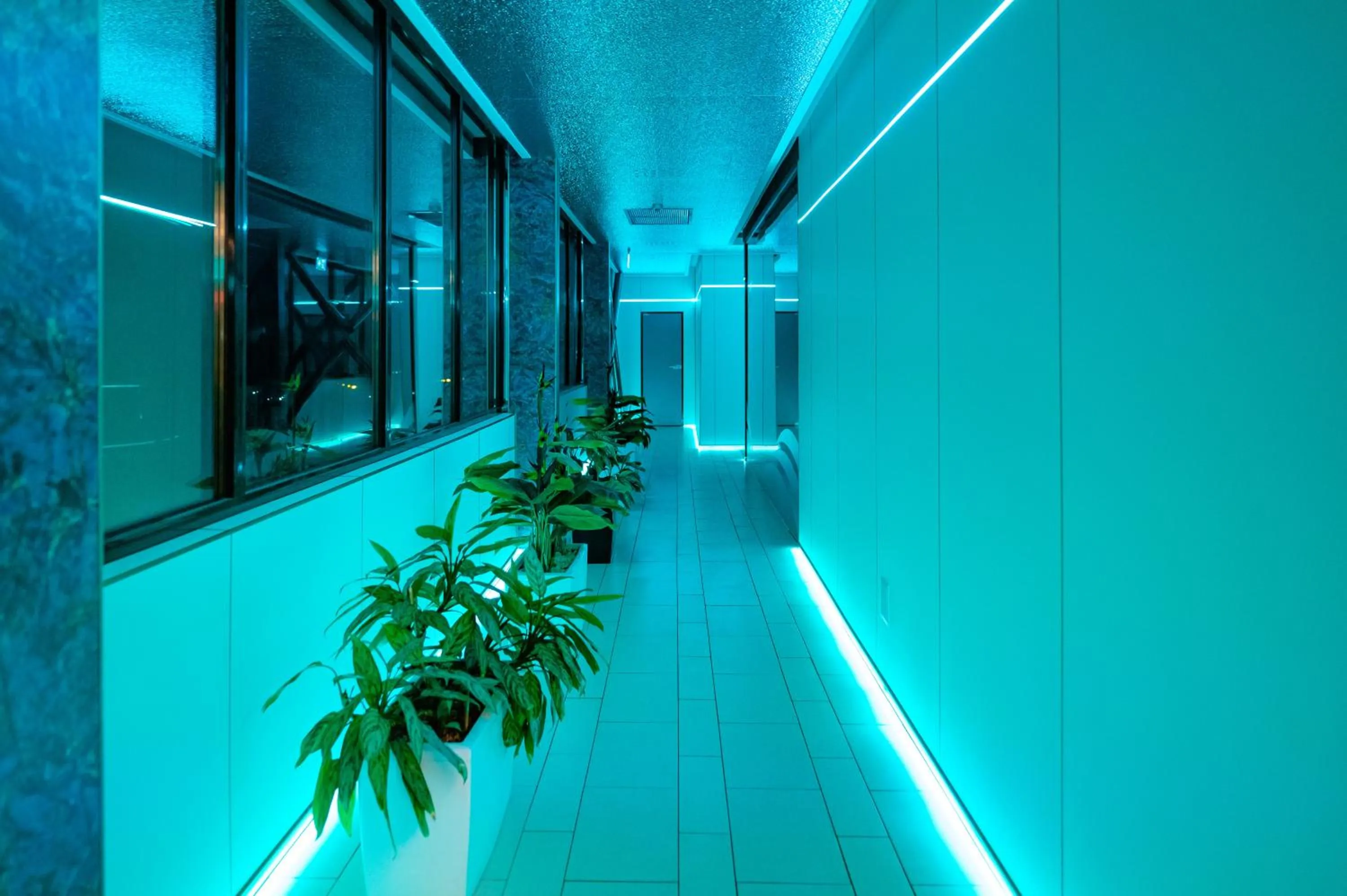 Business Hotel Conference Center & Spa