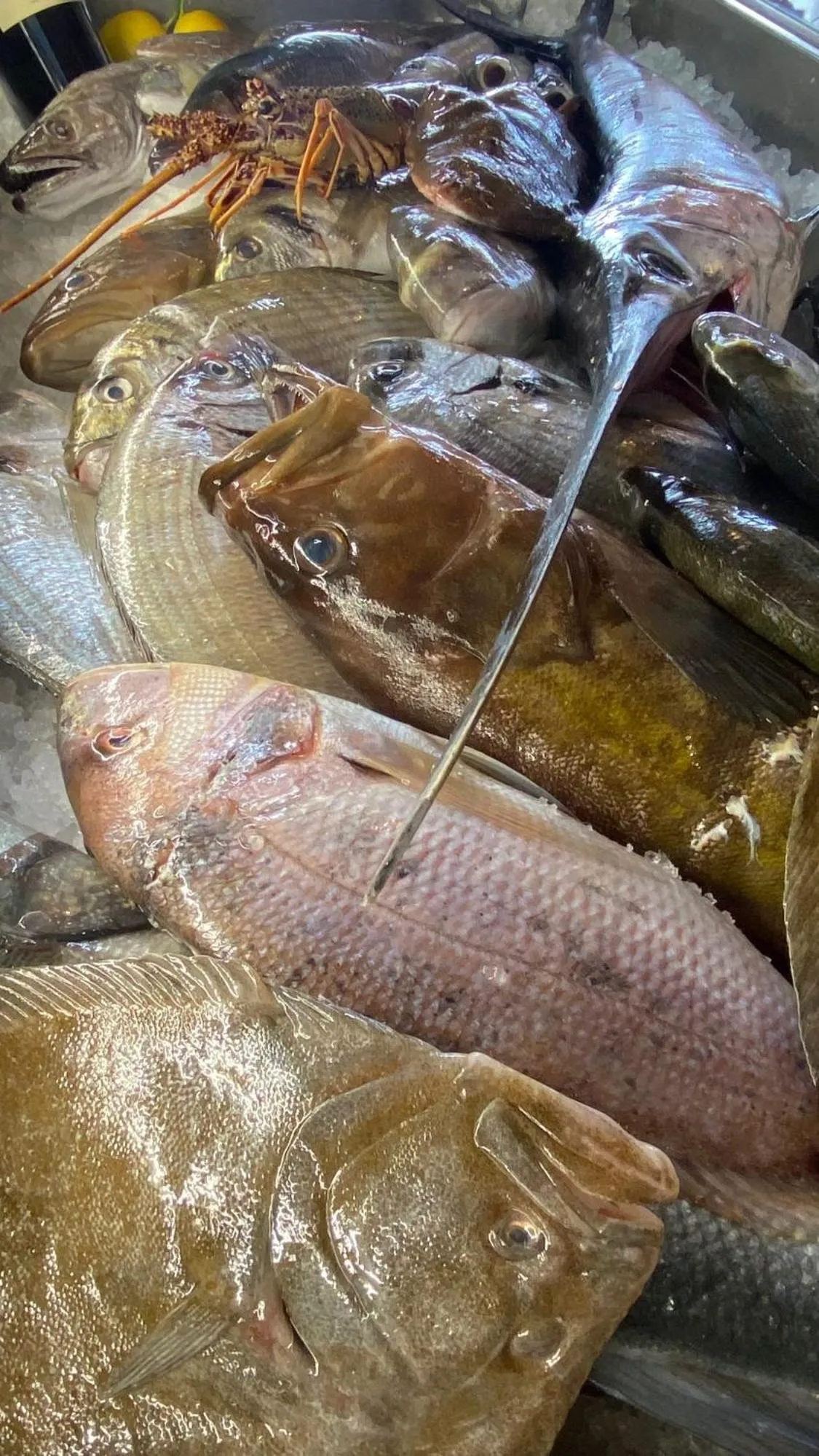 Restaurant/places to eat in Aragosta Hotel