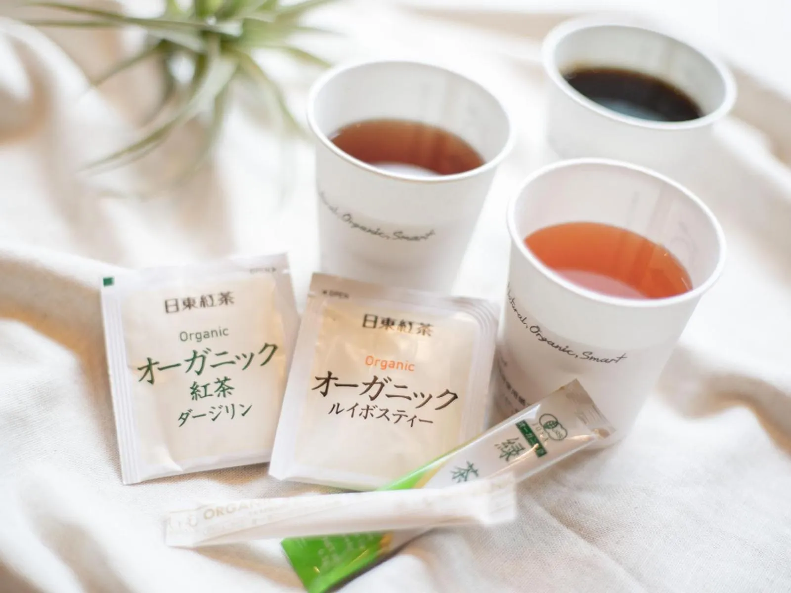 Coffee/tea facilities in Super Hotel Tokyo Hamamatsucho