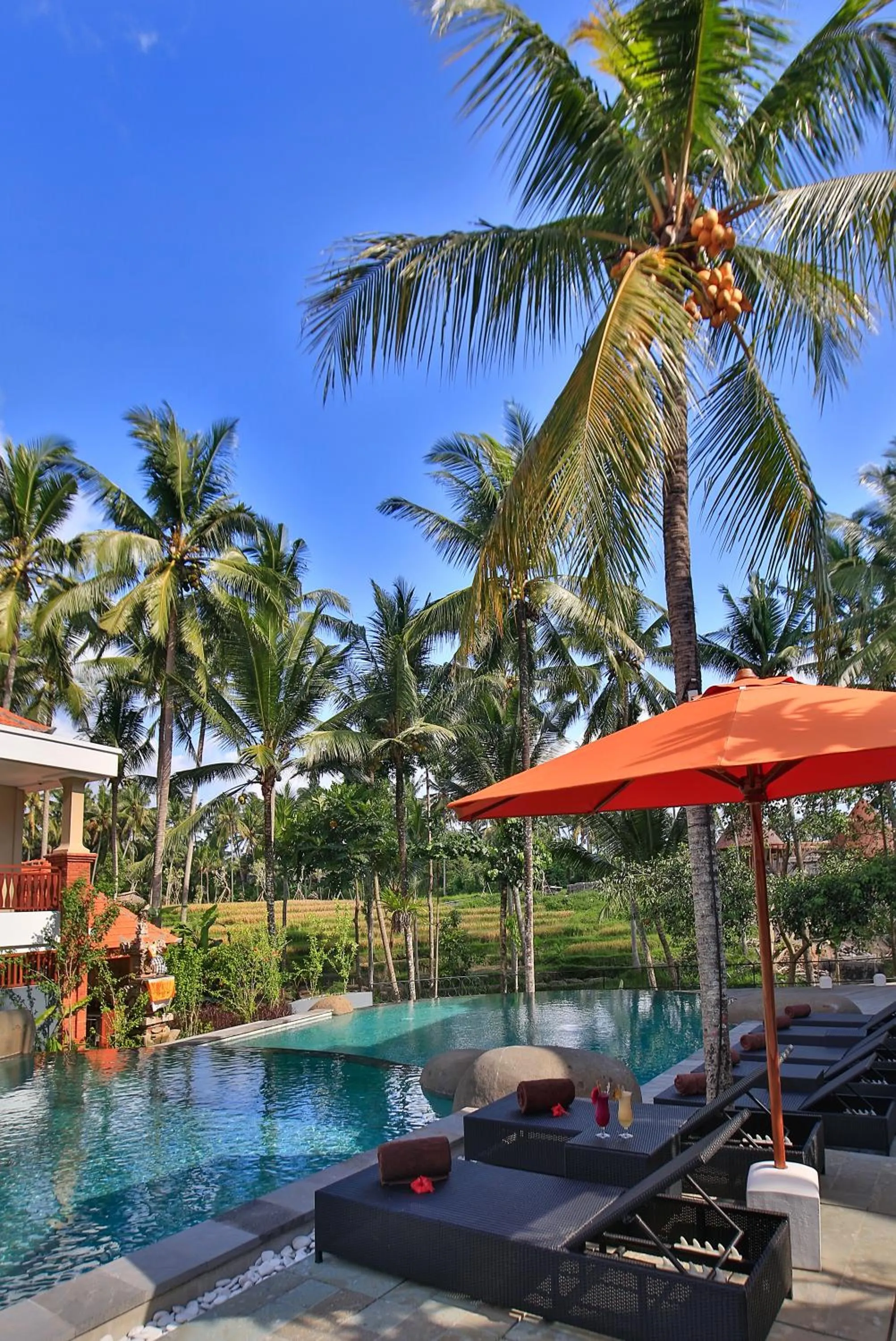 Natural landscape in Green Field Resort Ubud