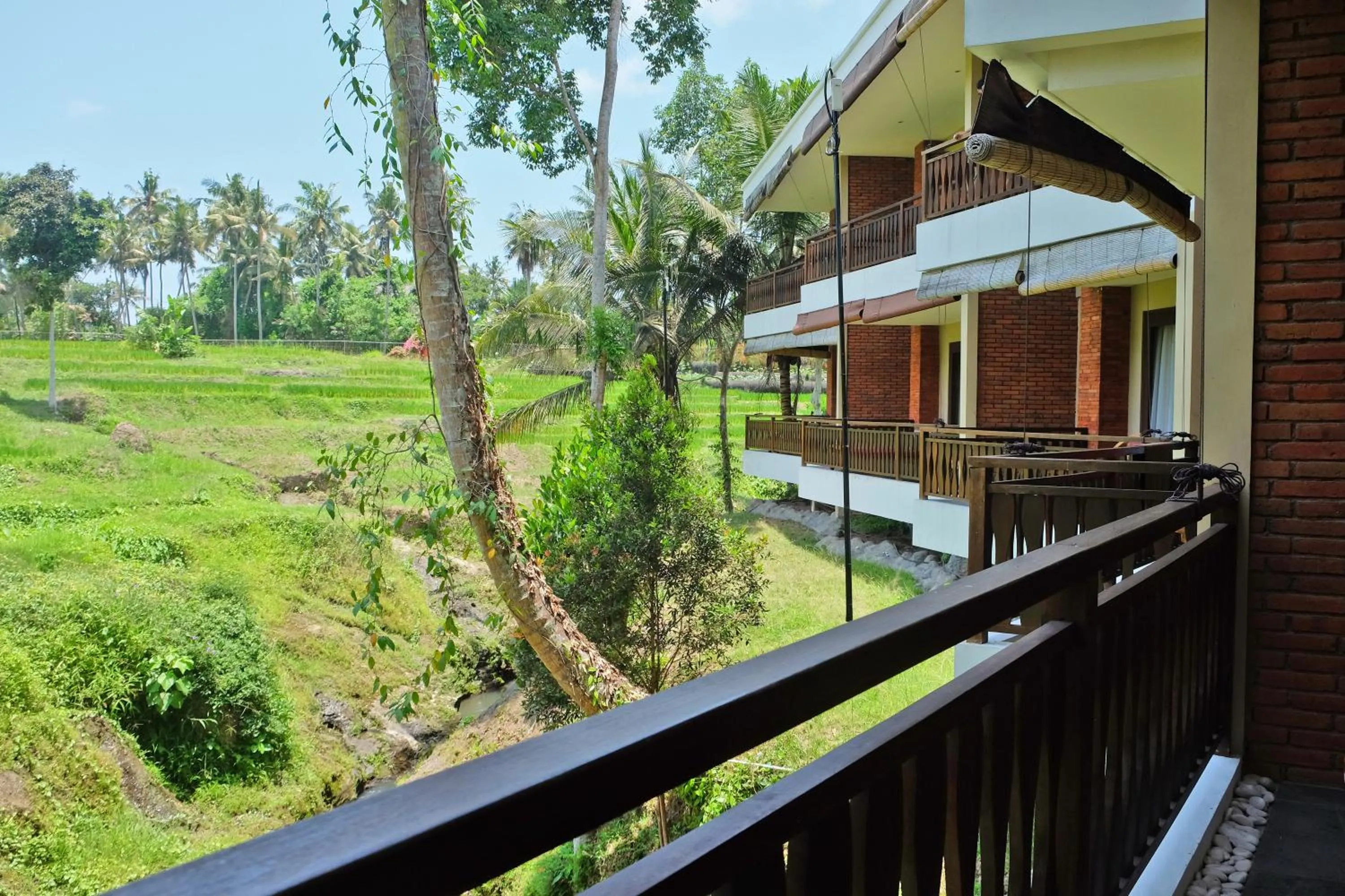 View (from property/room) in Green Field Resort Ubud